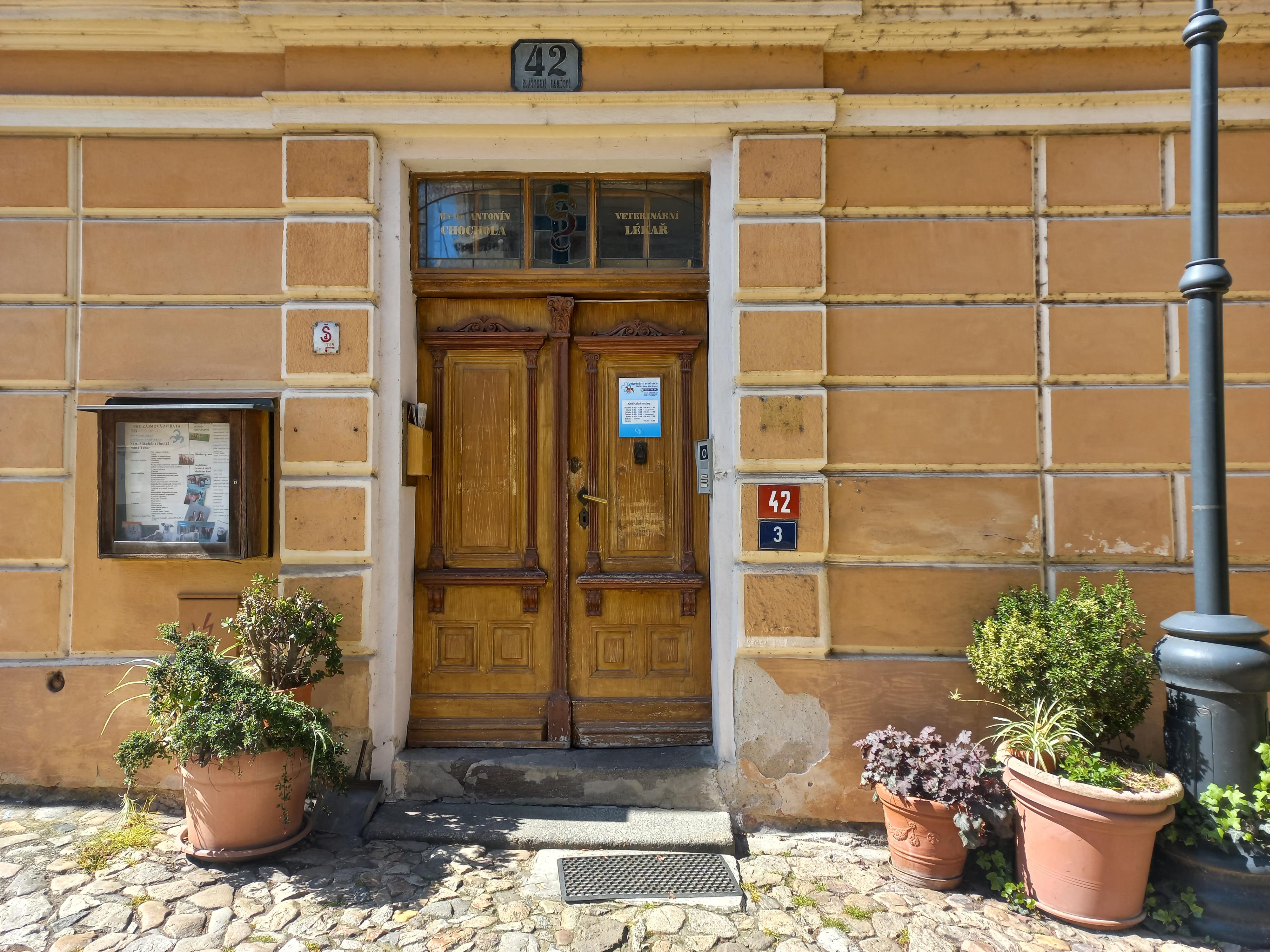 MVDr. Jana Martinová