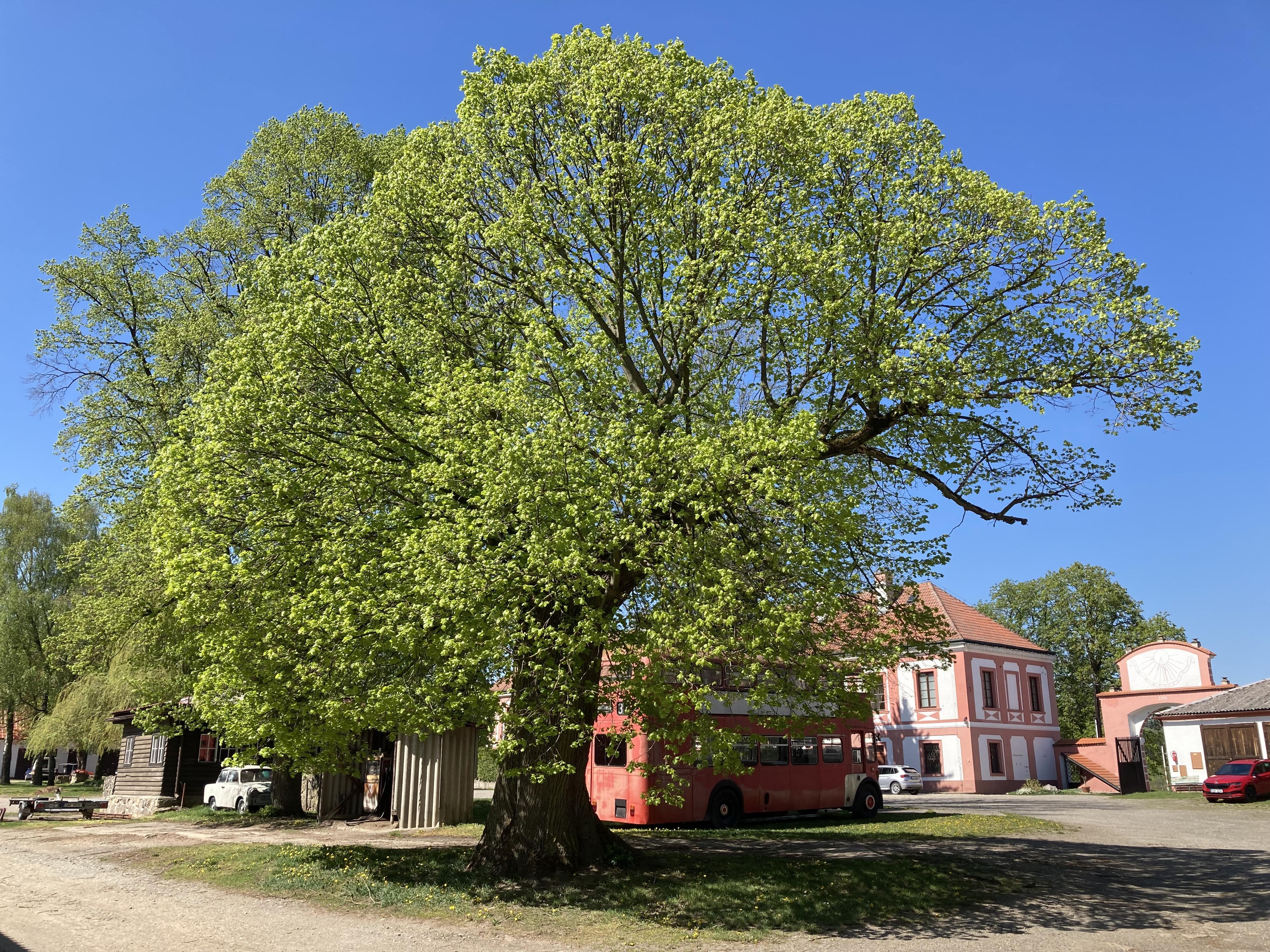 Zámek Lobeč foto 5
