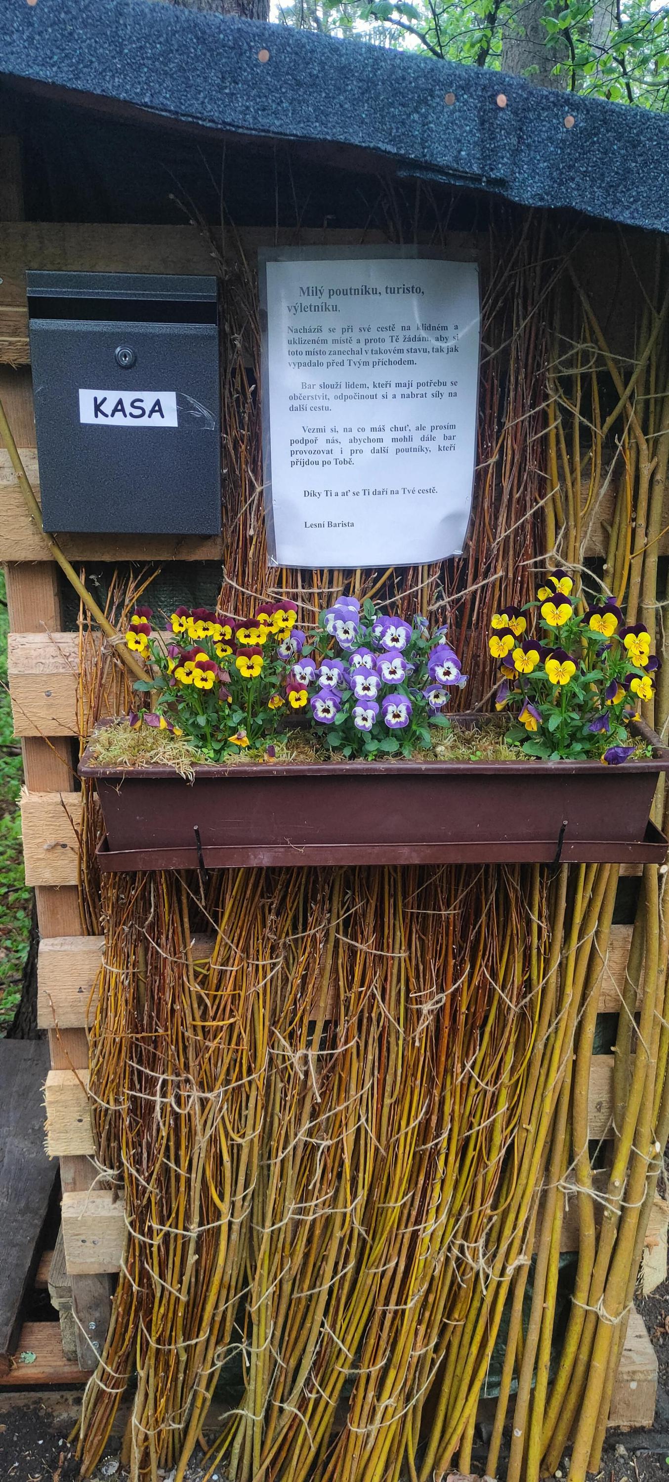 Lesní bar Bechlejovice foto 2