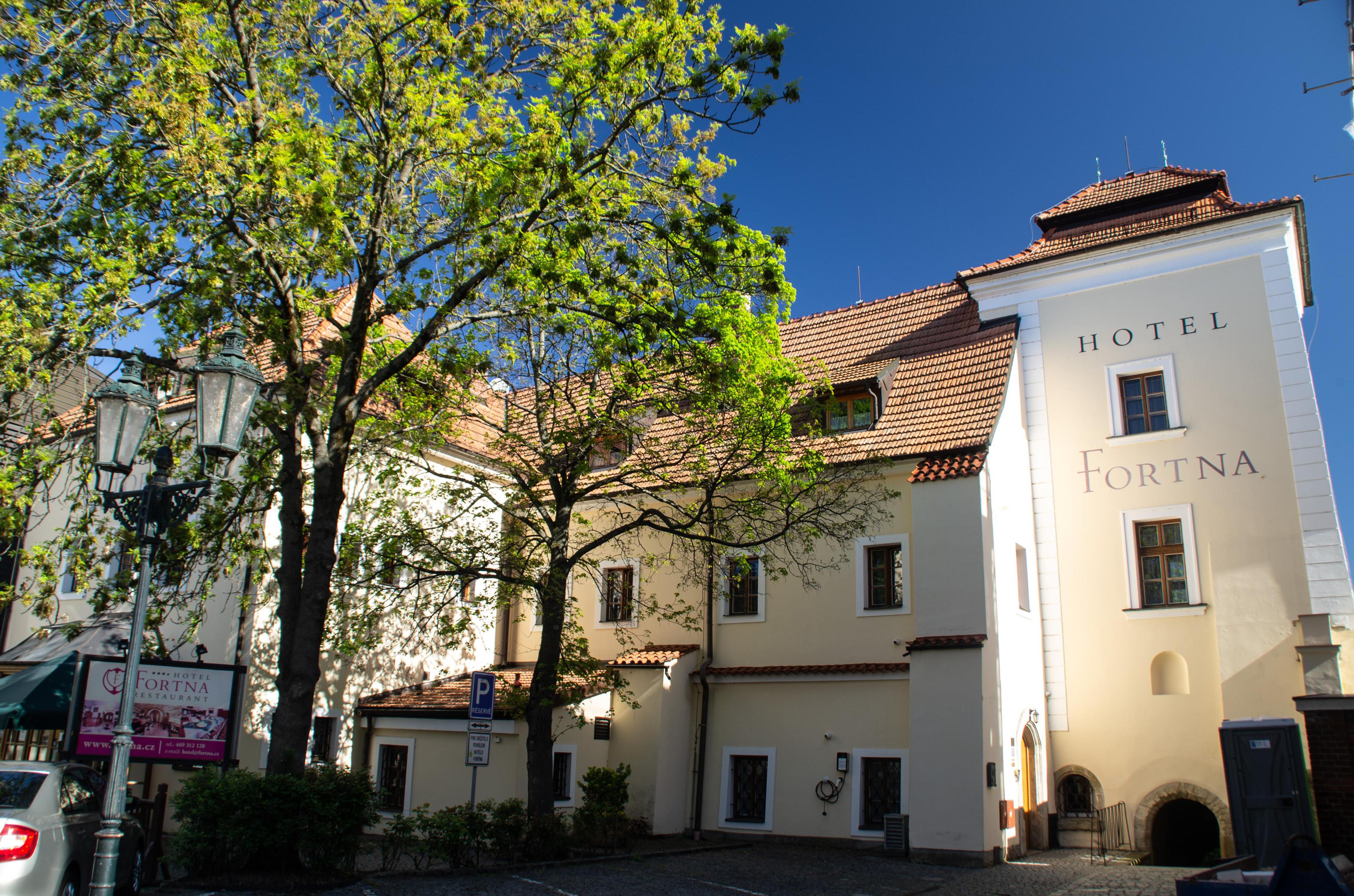 Hotel Fortna foto 4