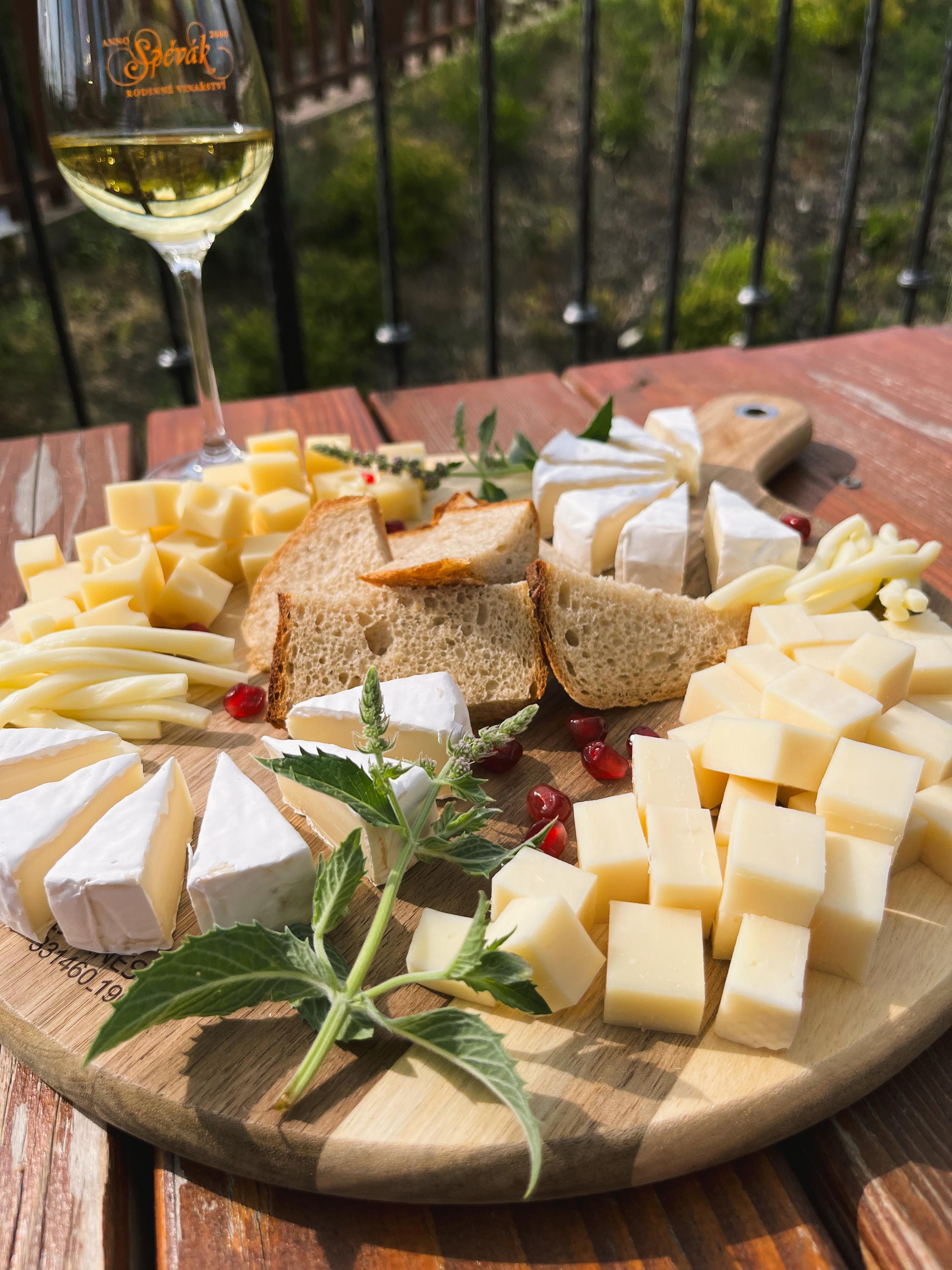 Rodinné vinařství Spěvák, s.r.o. foto 3