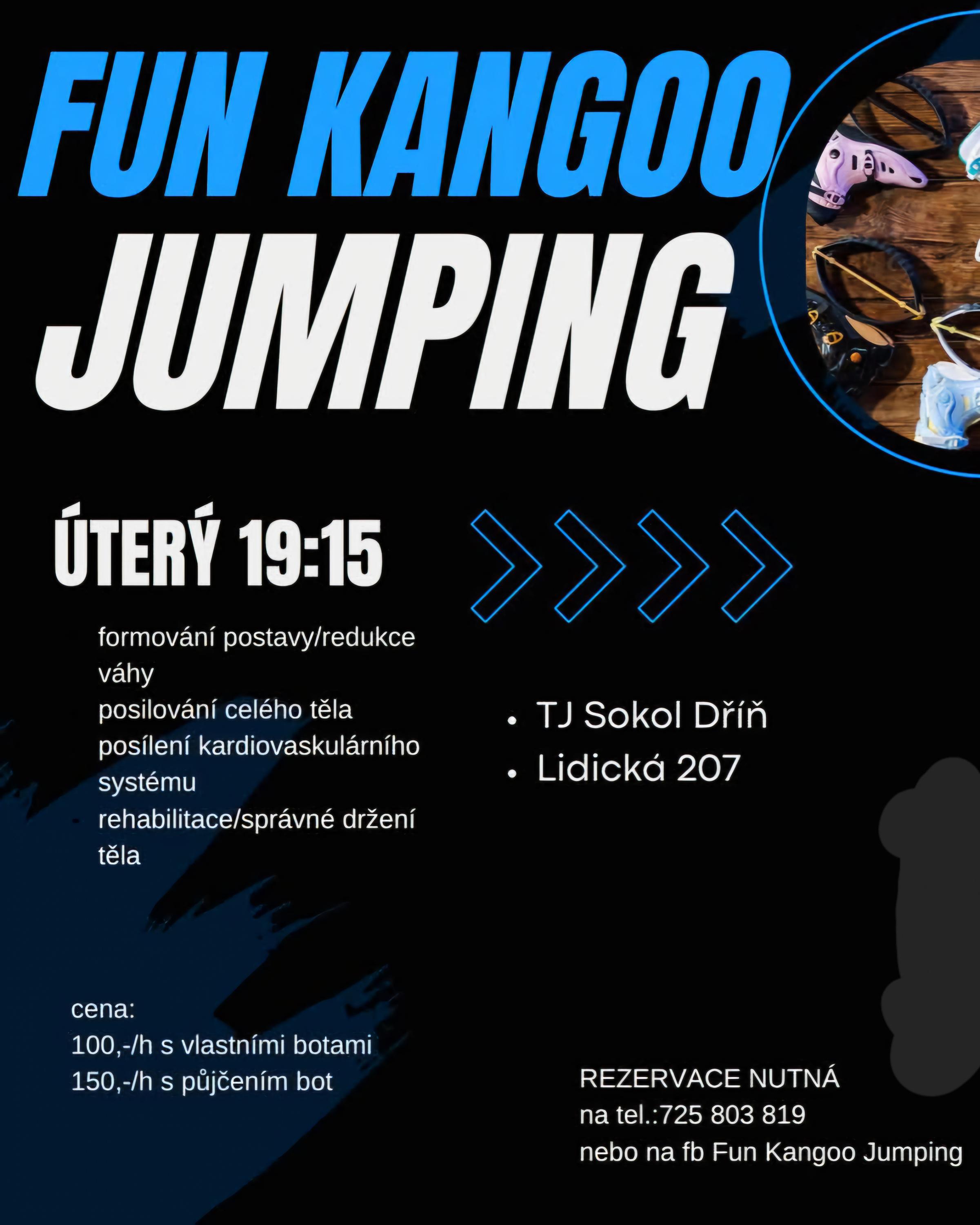 Tělocvičná jednota Sokol Dříň foto 5