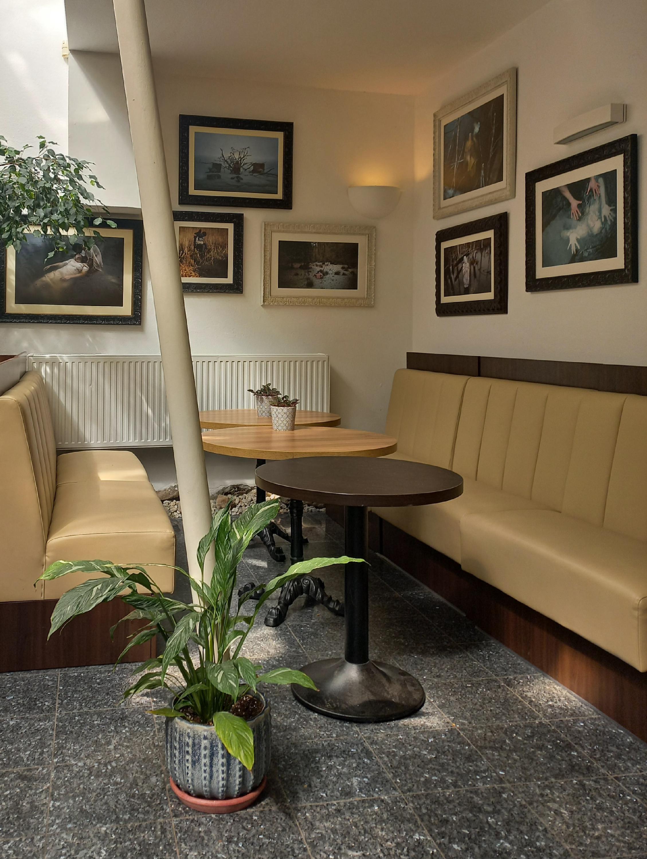 Café Mezi Plátky foto 6