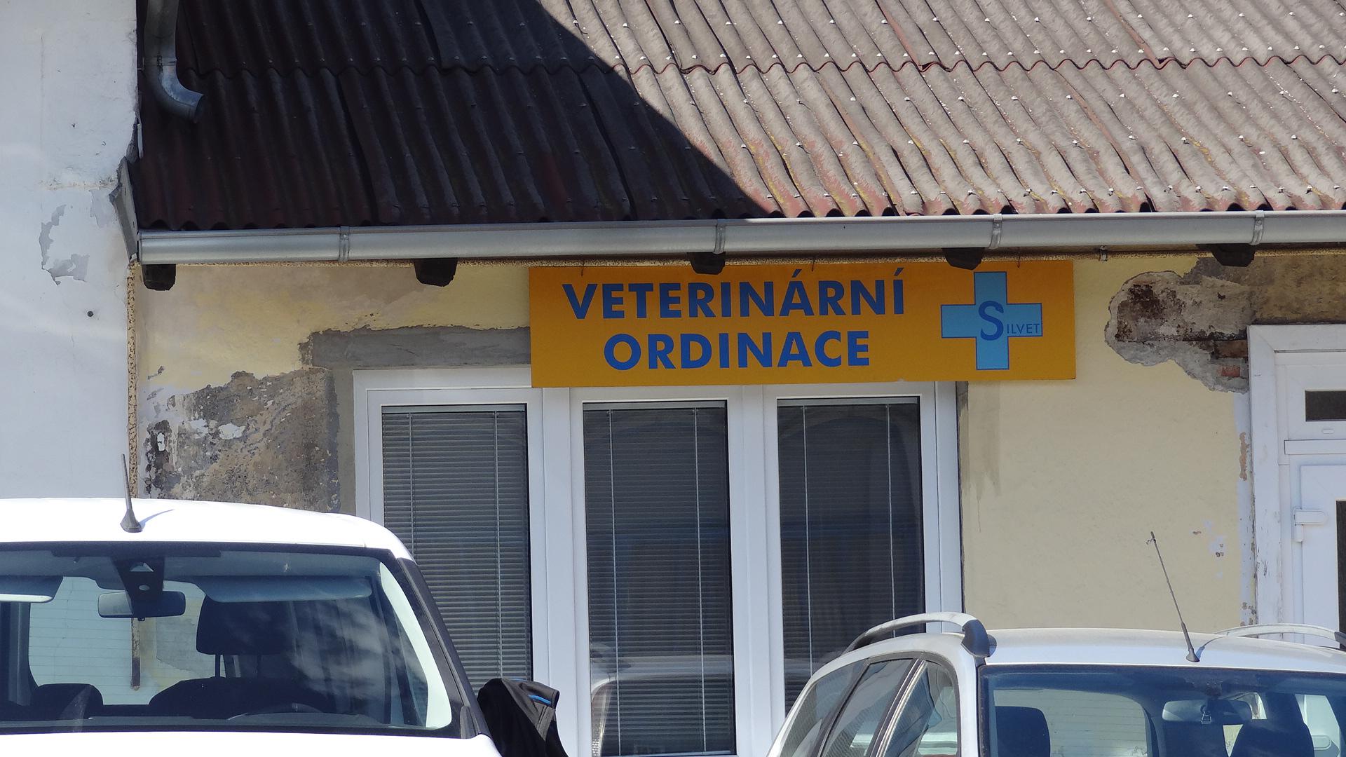 VETERINÁRNÍ ORDINACE SILVET foto 2