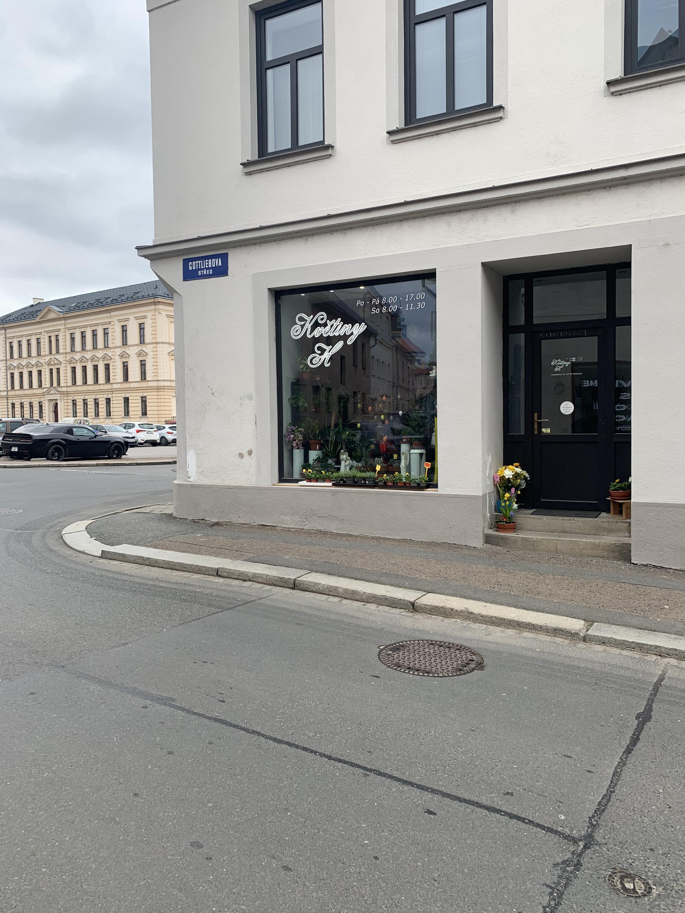 Květiny H foto 3