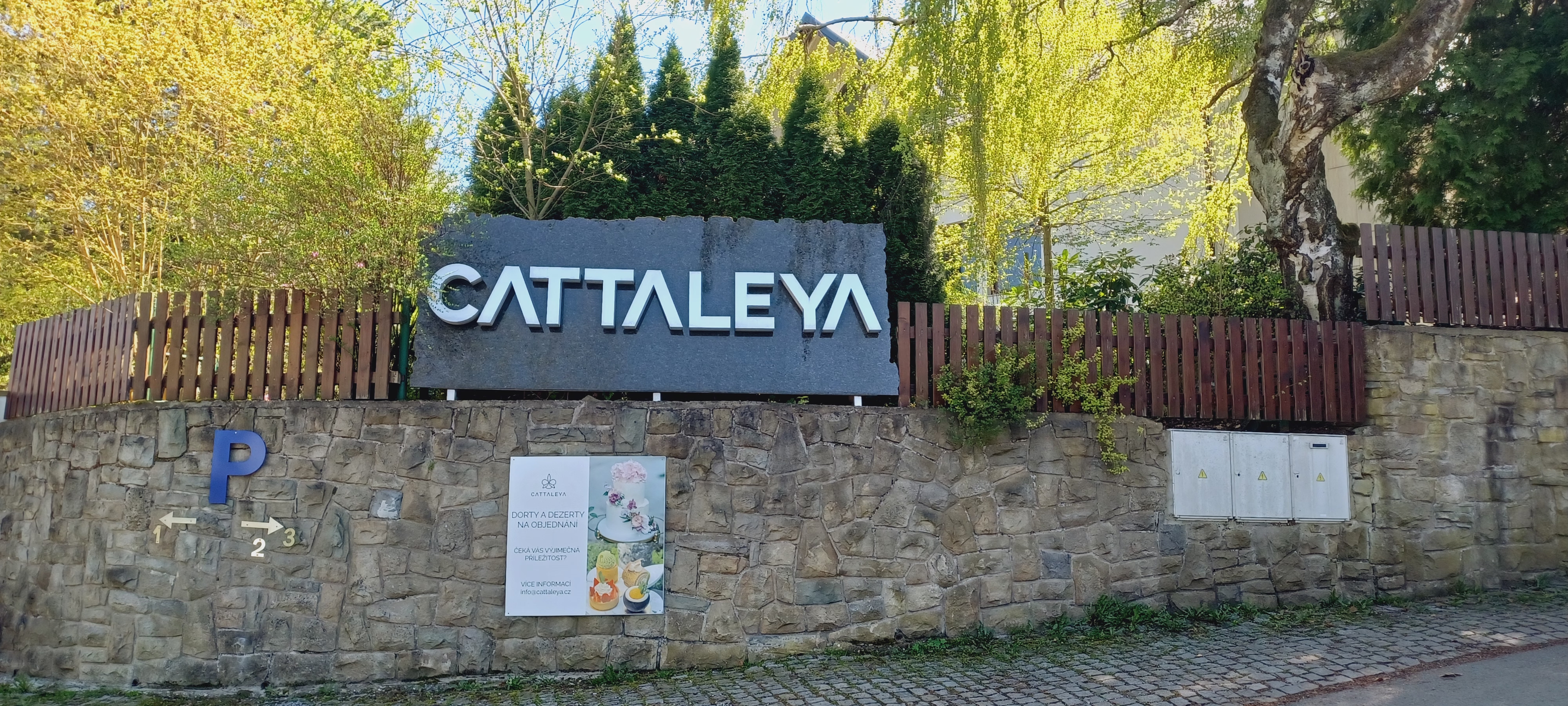 Villa Cattaleya foto 2