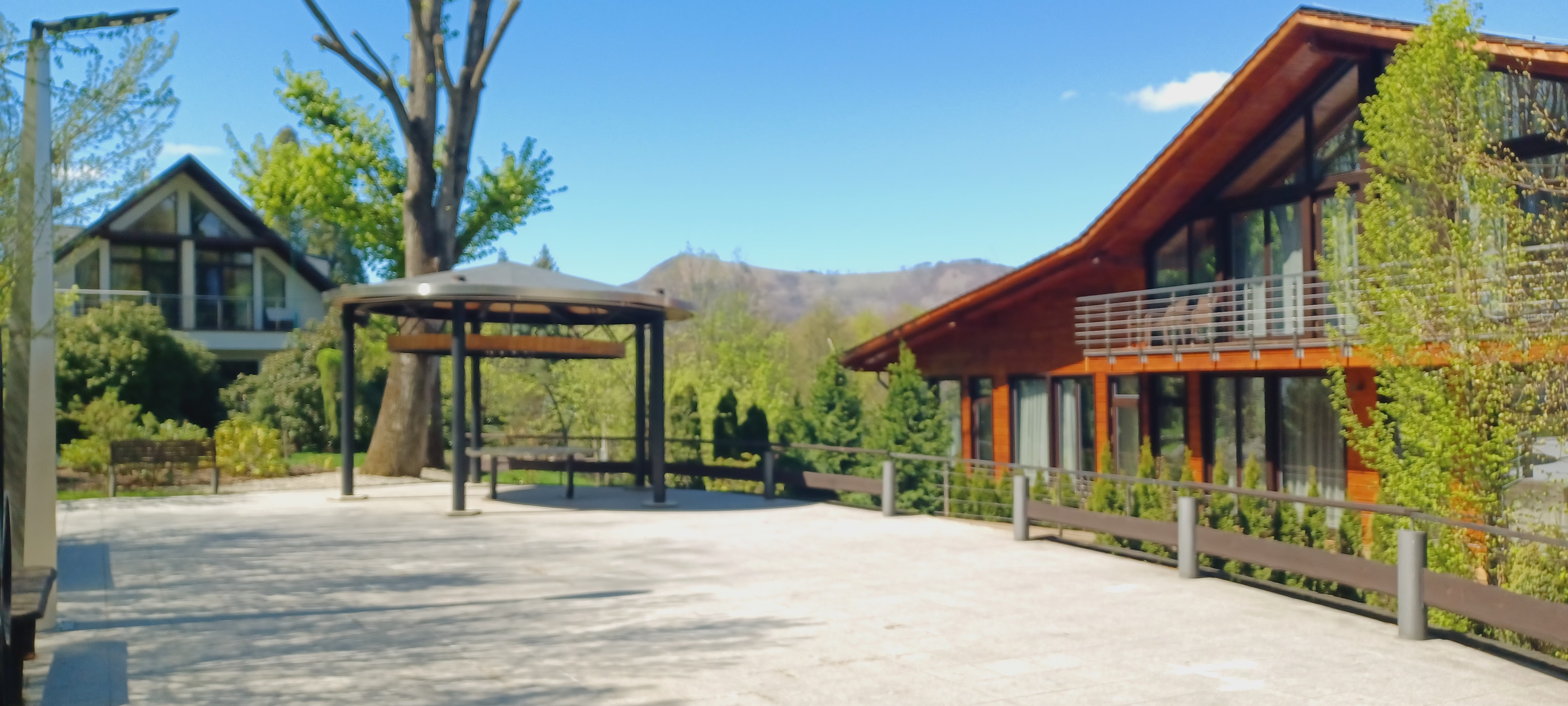 Villa Cattaleya foto 5