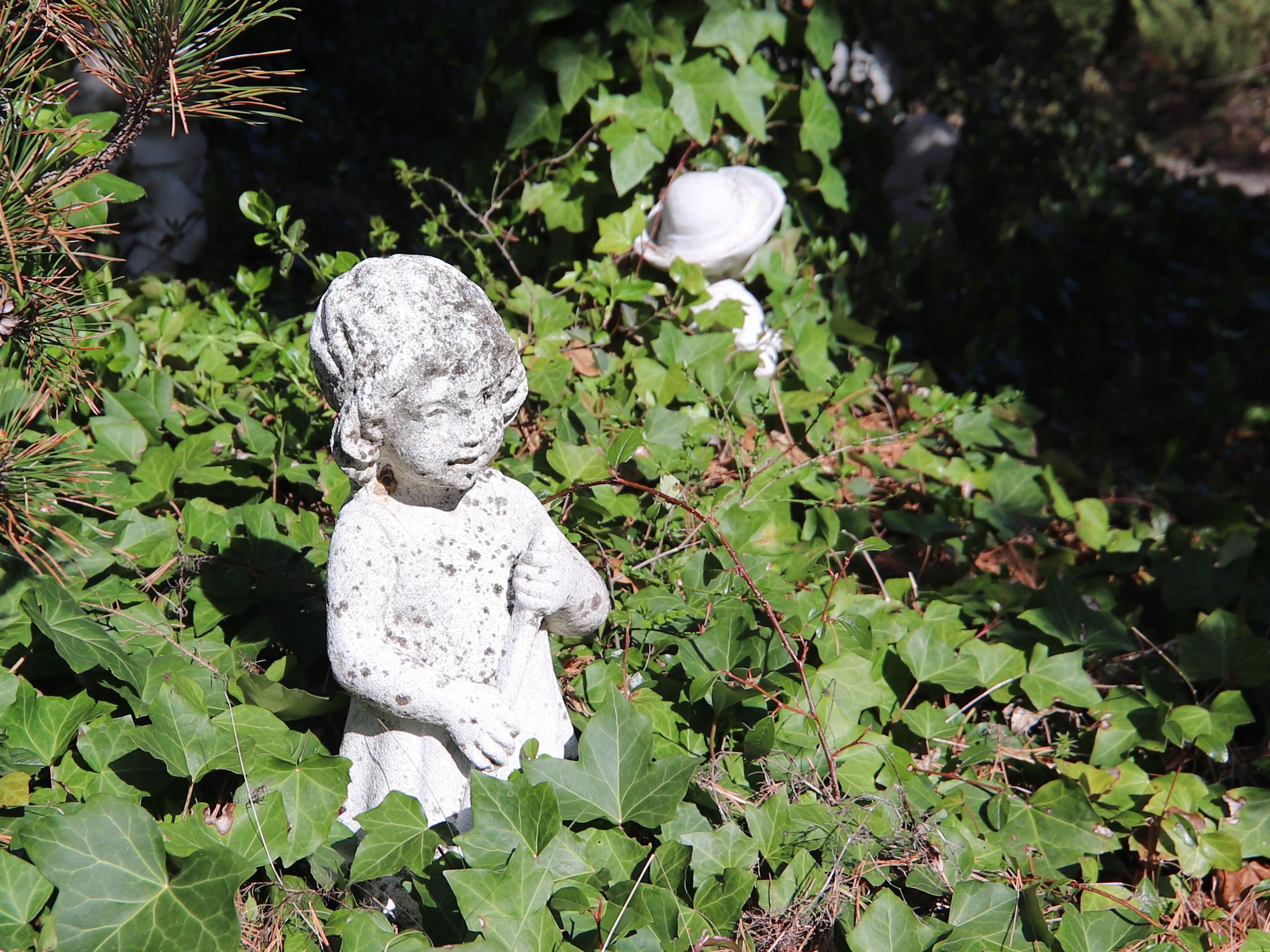 Arboretum Šmelcovna foto 5