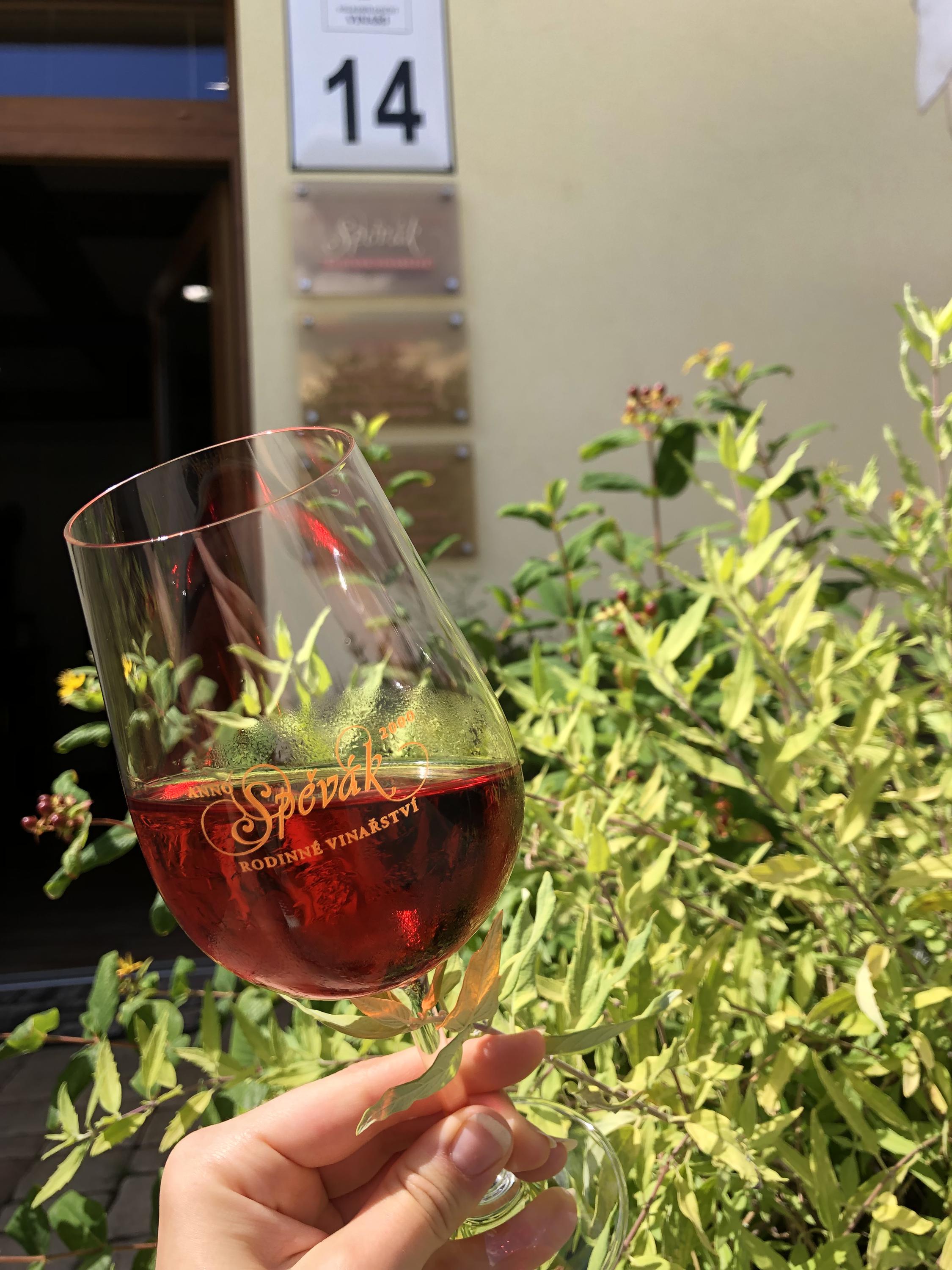 Rodinné vinařství Spěvák, s.r.o. foto 5