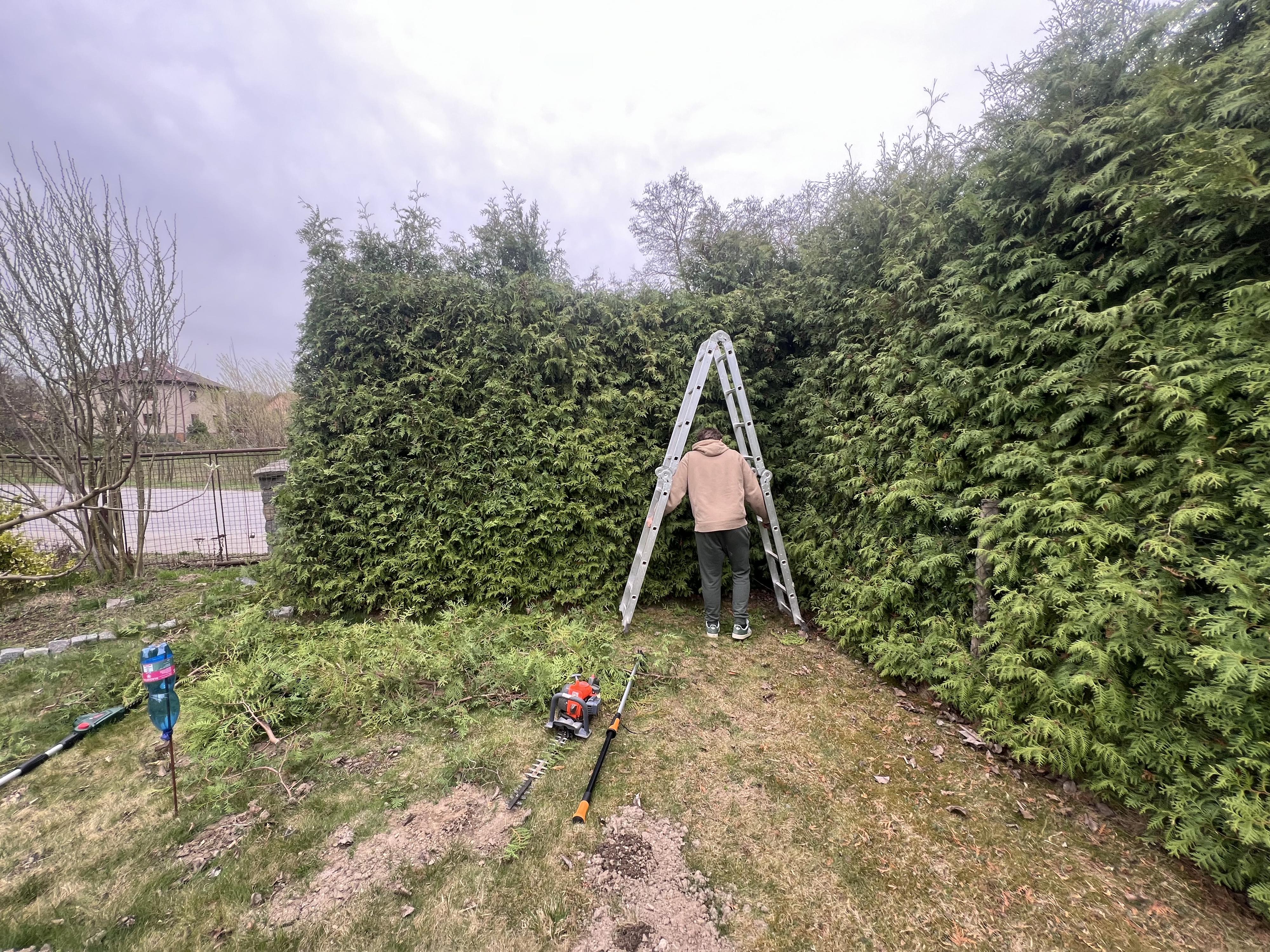 Vilém Sobotka - zahradnické práce foto 3