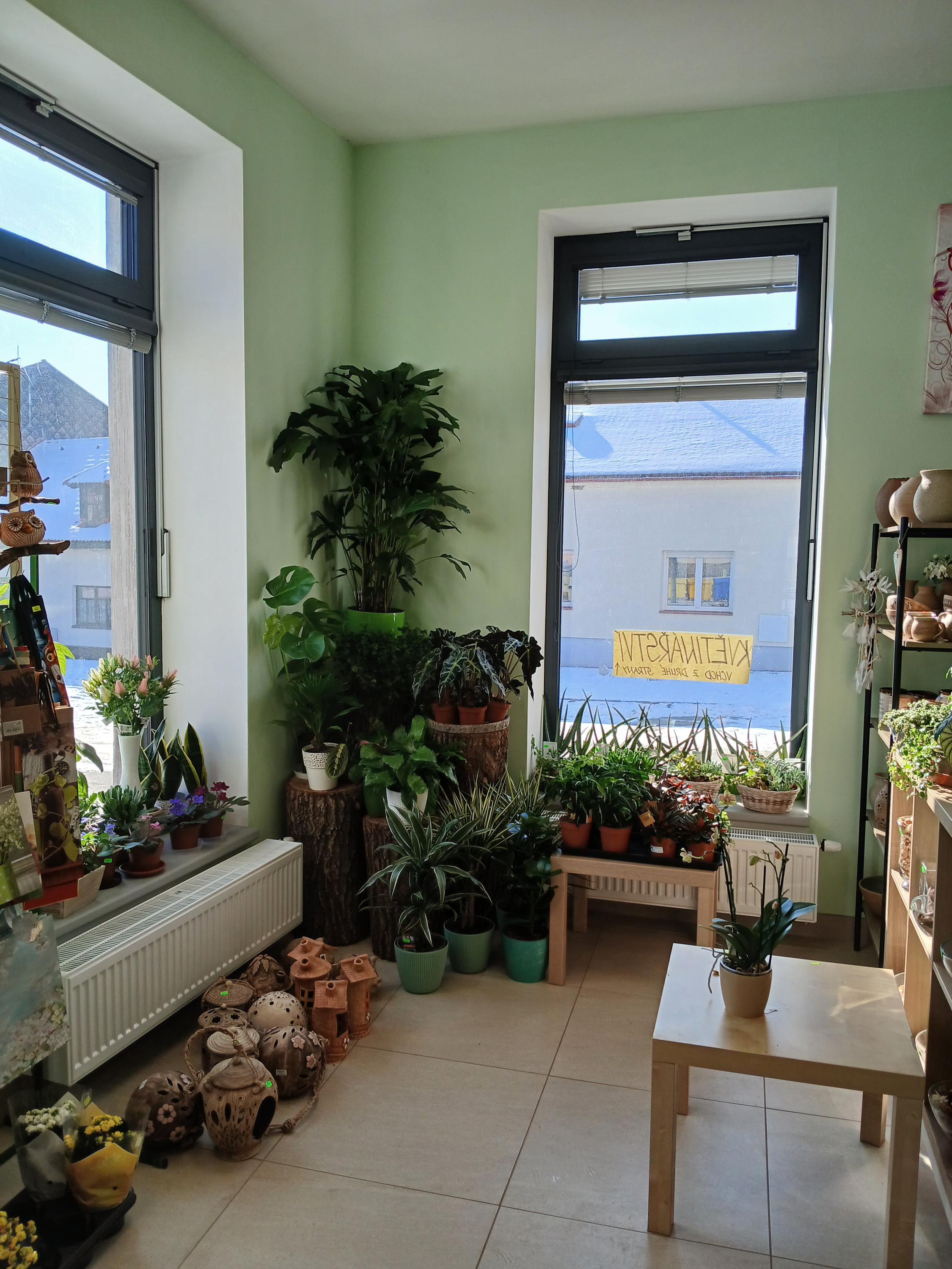 Květiny - Jitka Růžičková foto 4