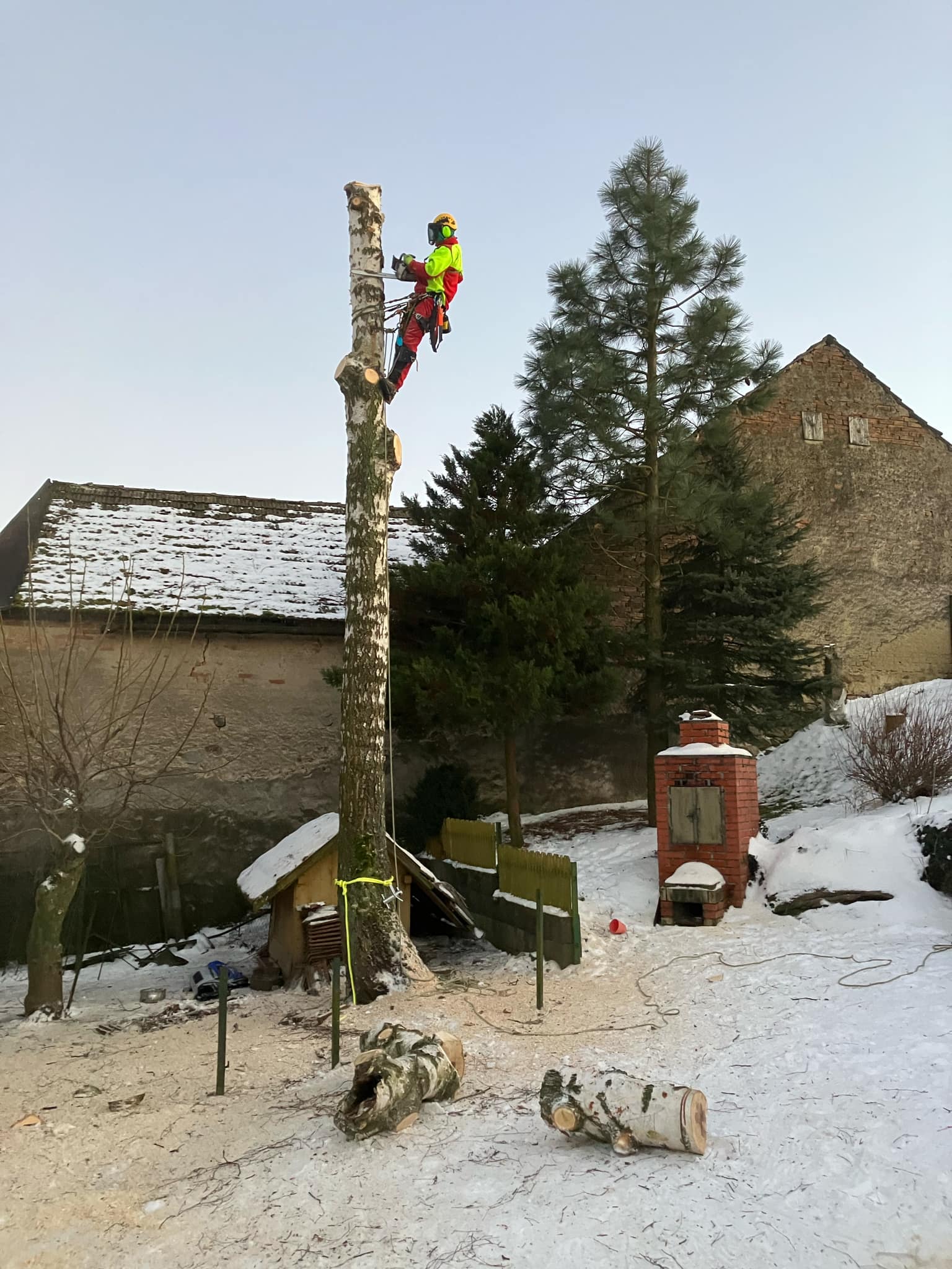 Ondřej Augustin - arboristika a výškové práce foto 2
