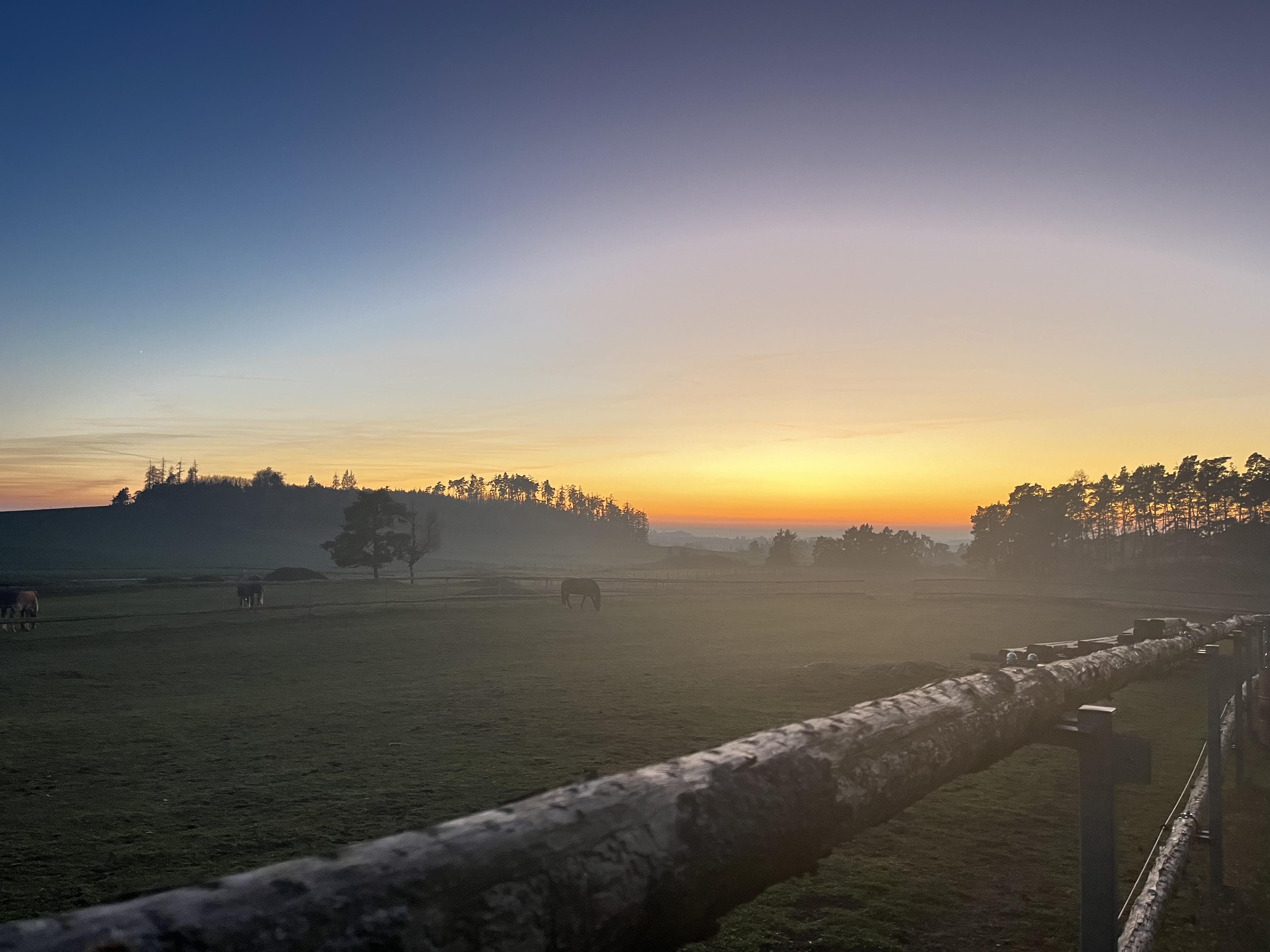 Minifarma Kojatín foto 2