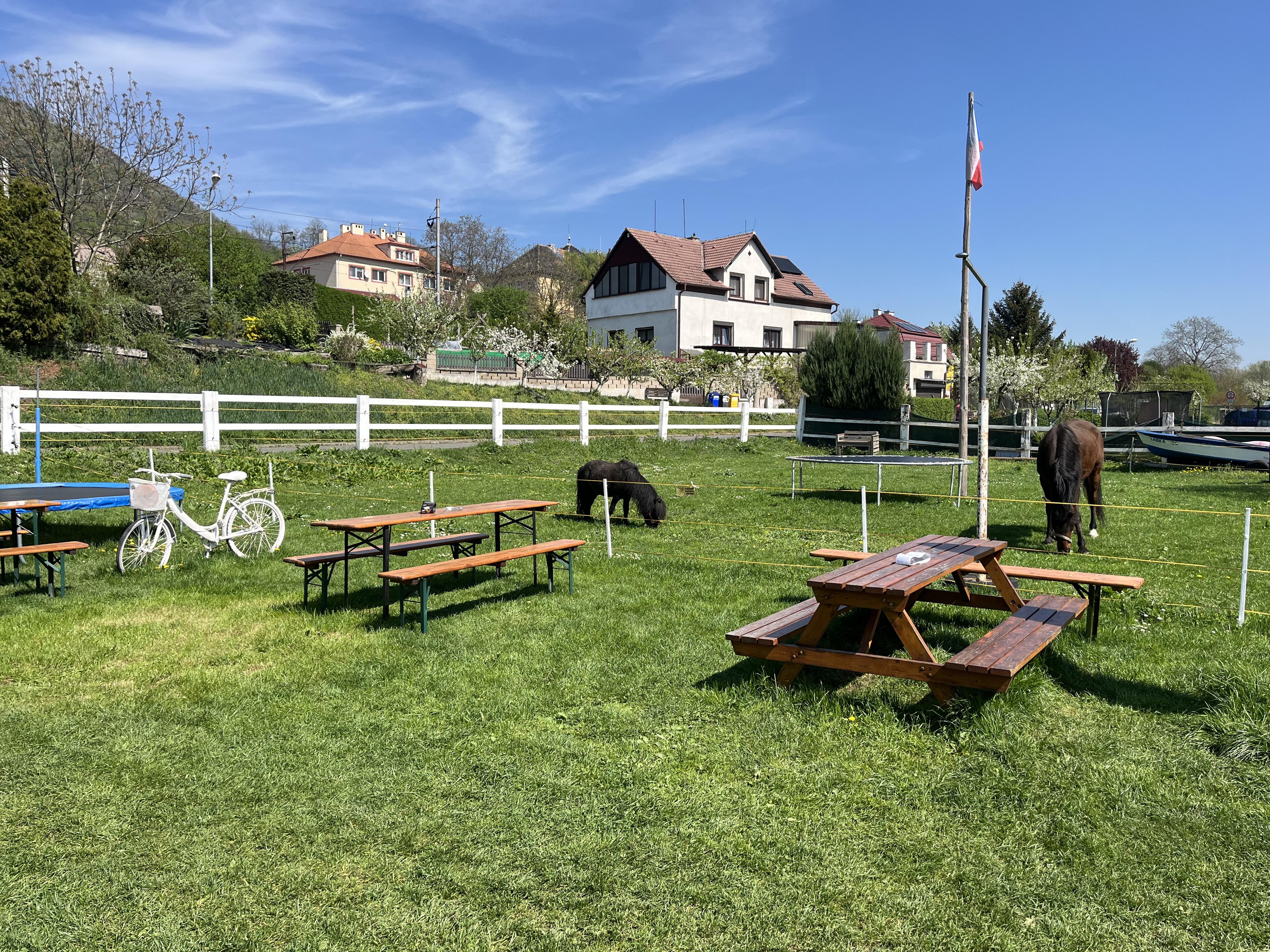 U koníka foto 5