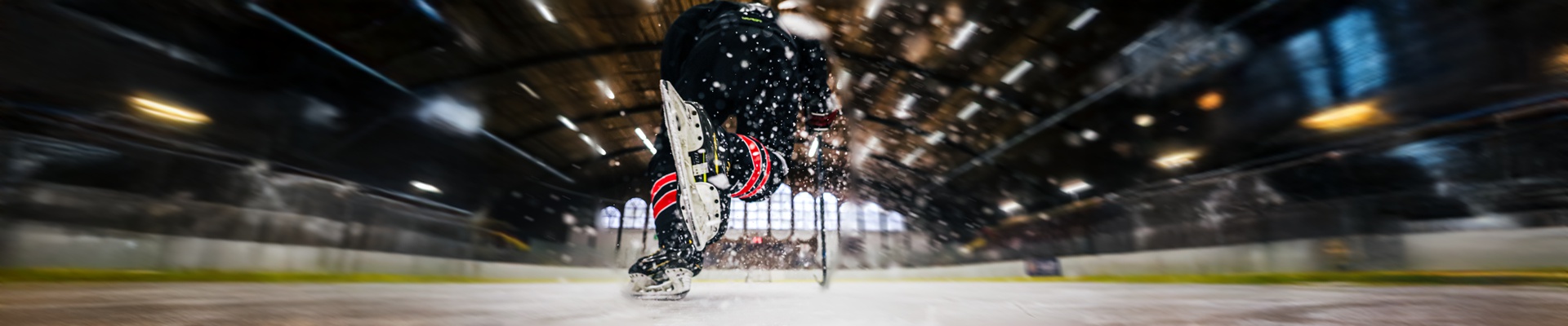 Úvodní obrázek Hokejlevne.cz
