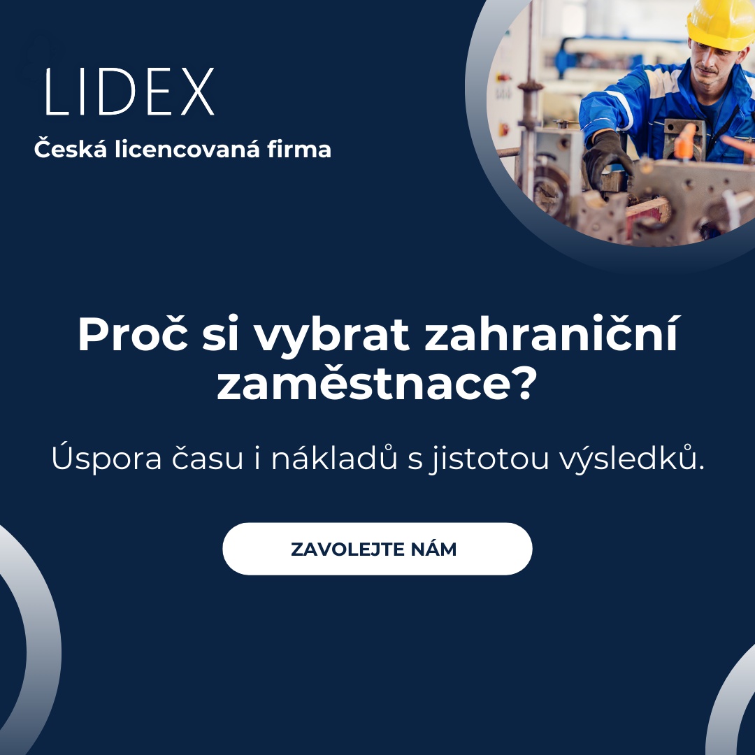 Lidex Personal foto 5