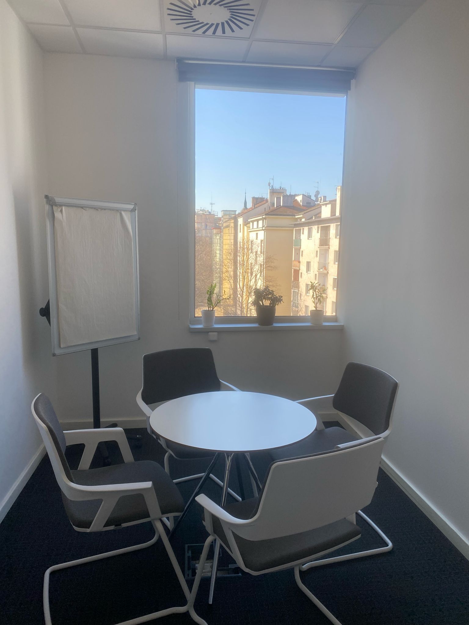 Dana Cooke, Ph.D. foto 2