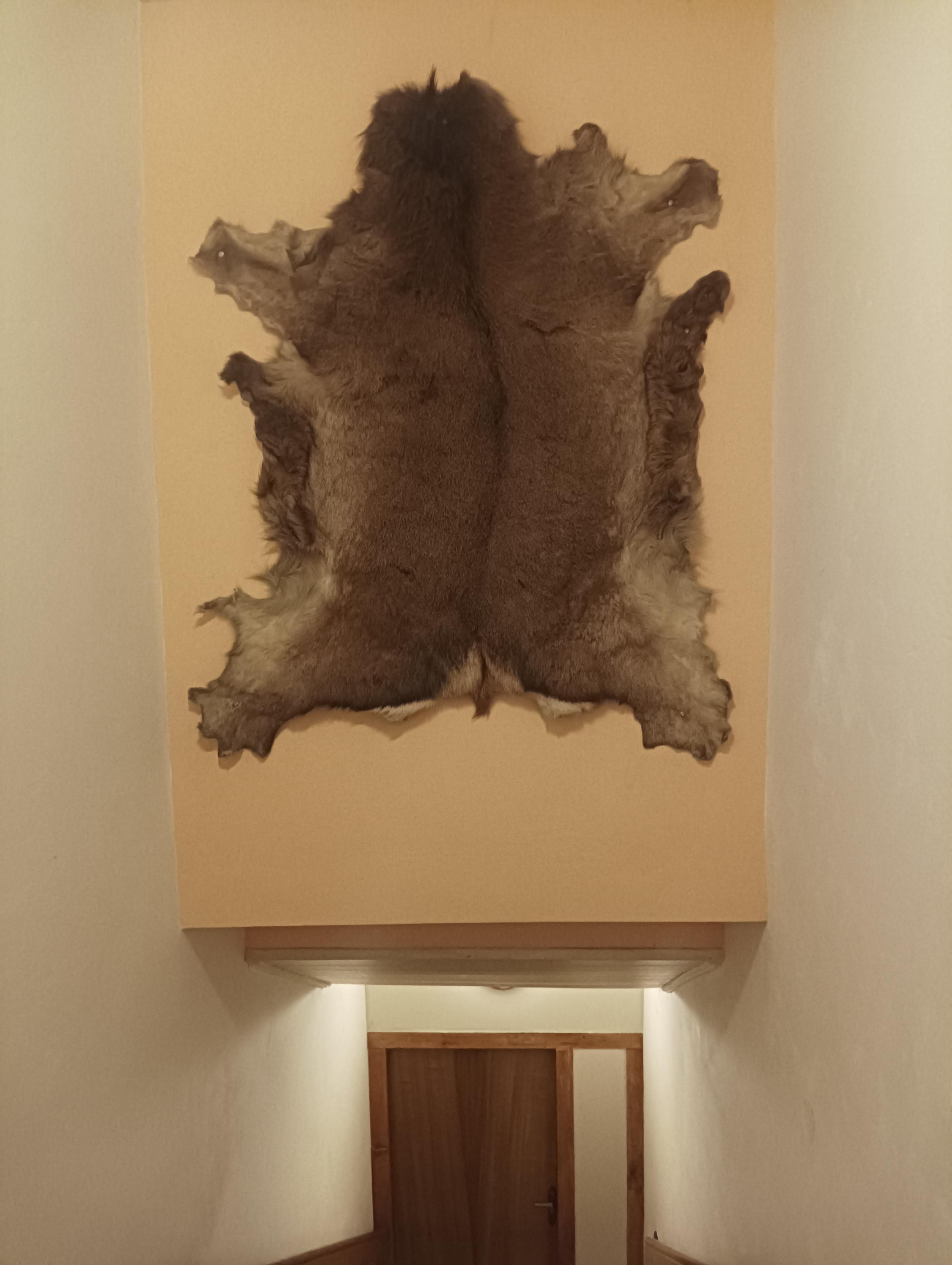 Penzion Baron foto 2