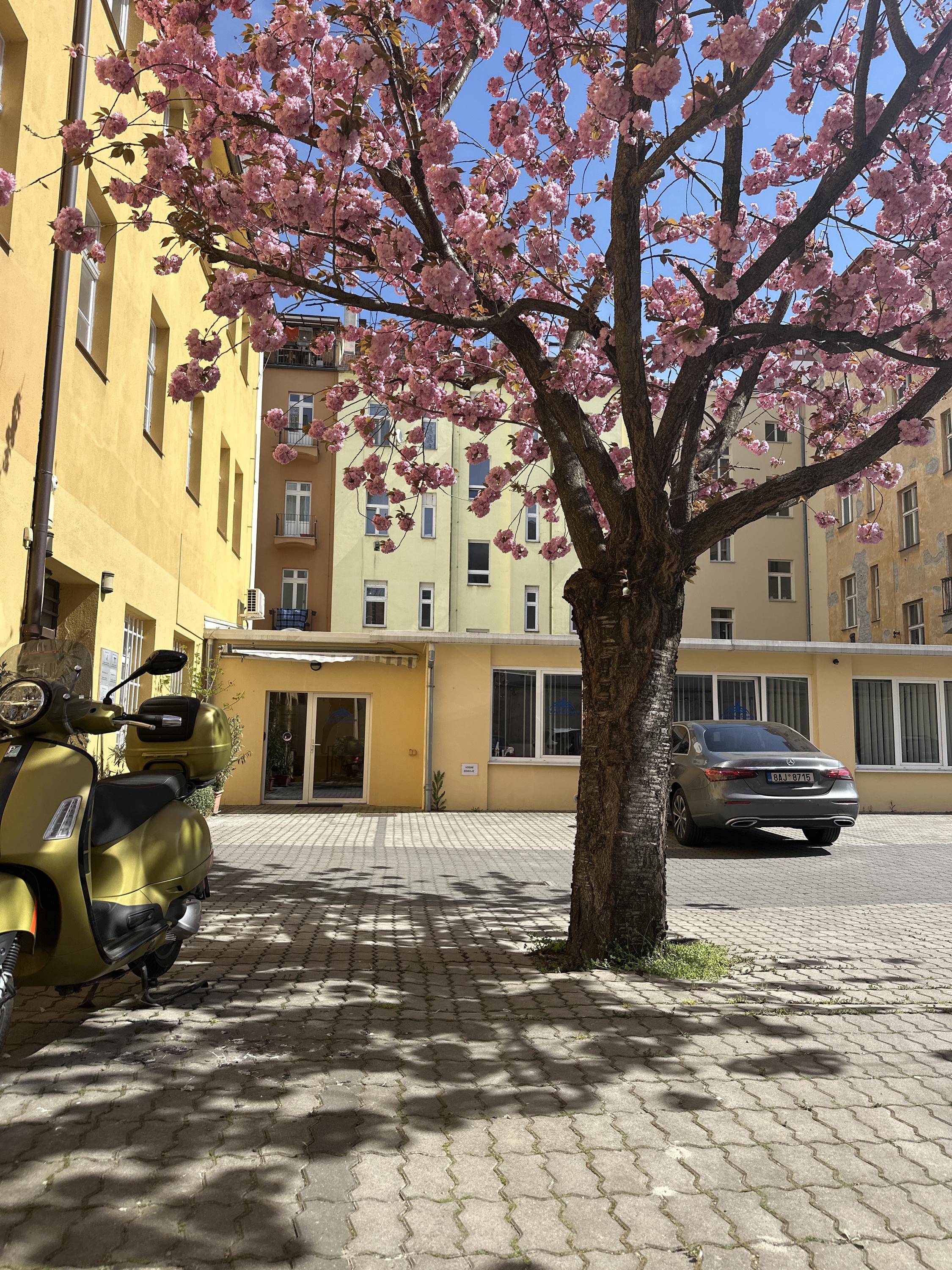 Fyzio Gym Cooper foto 2