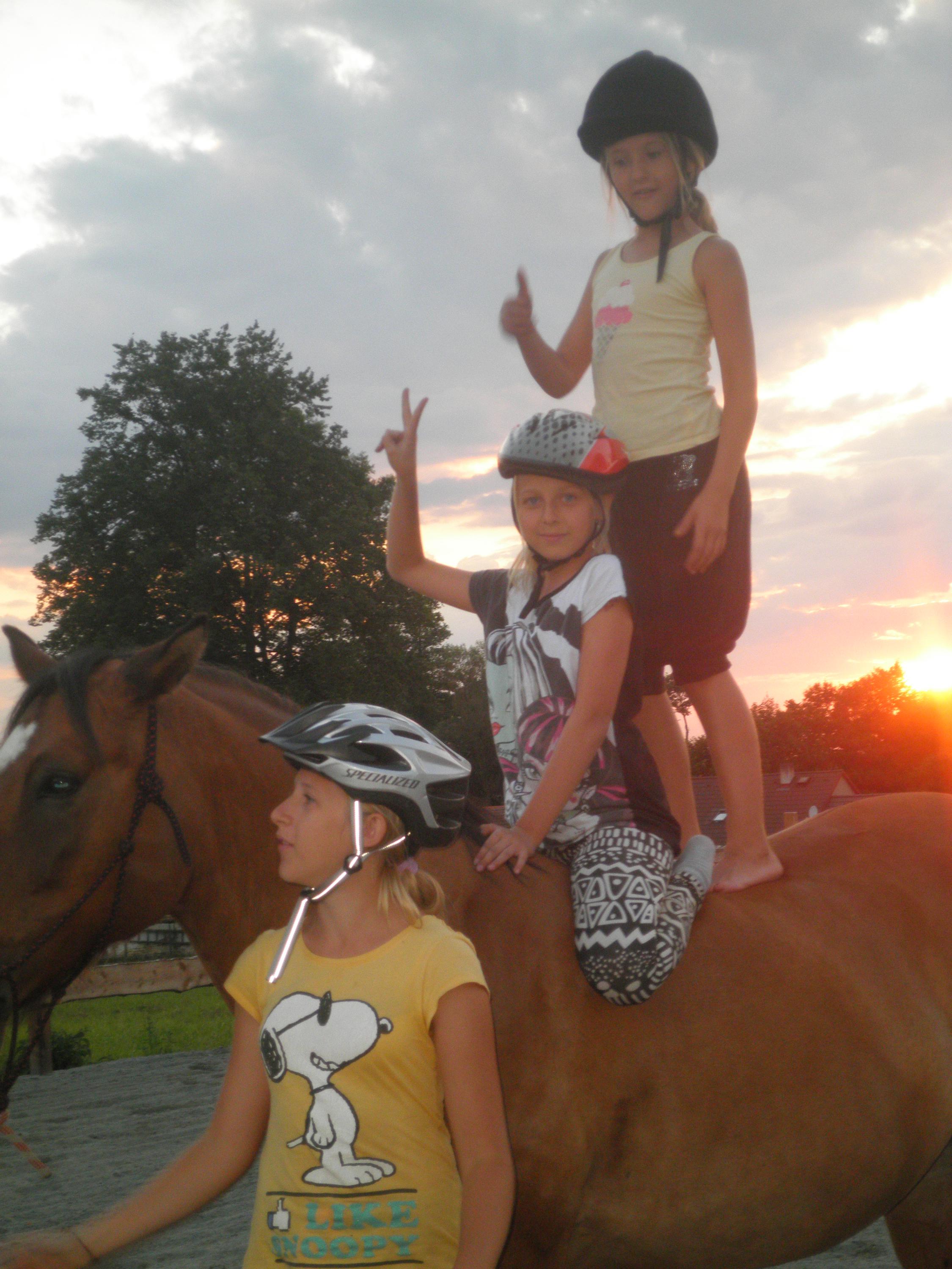 Farma pod kopcem foto 3