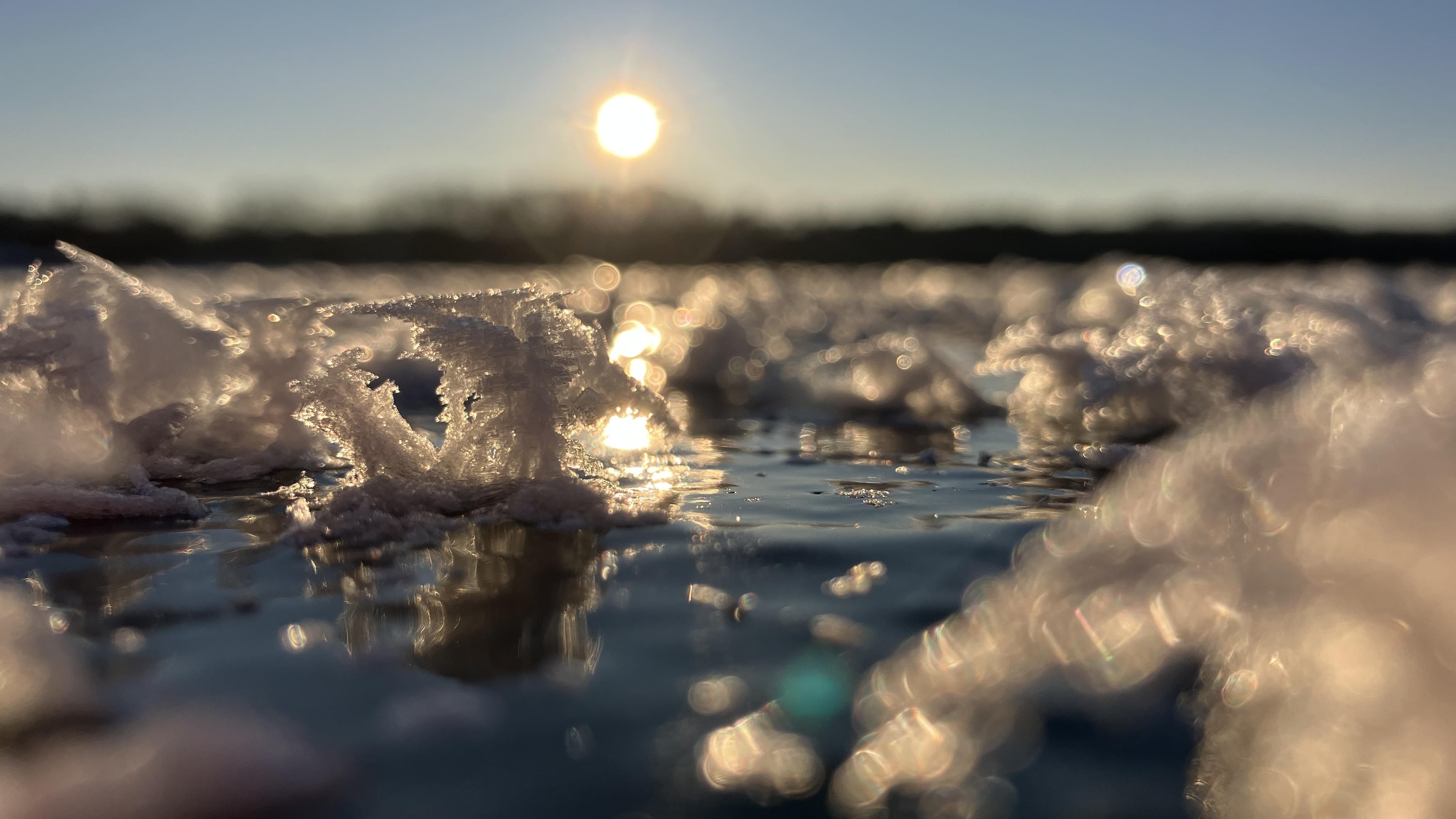 Pláže Máchovo jezero foto 2