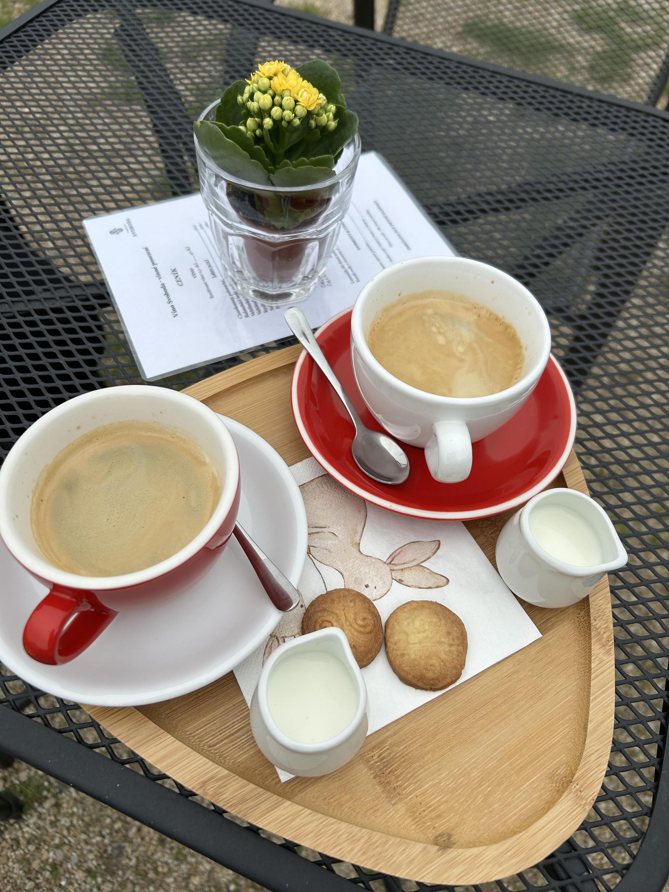 Vinařství Svoboda foto 2