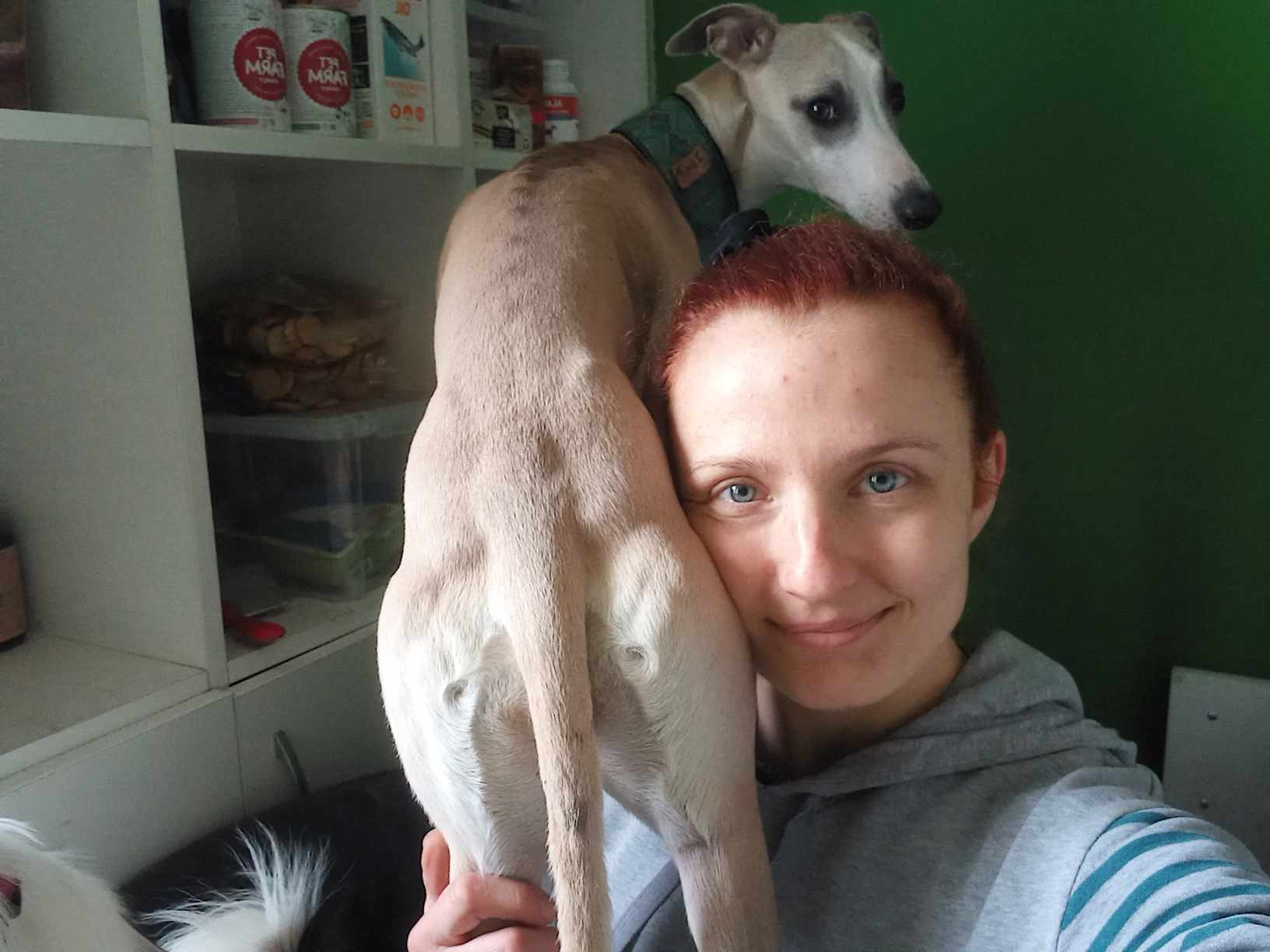 Hlídání psů foto 4