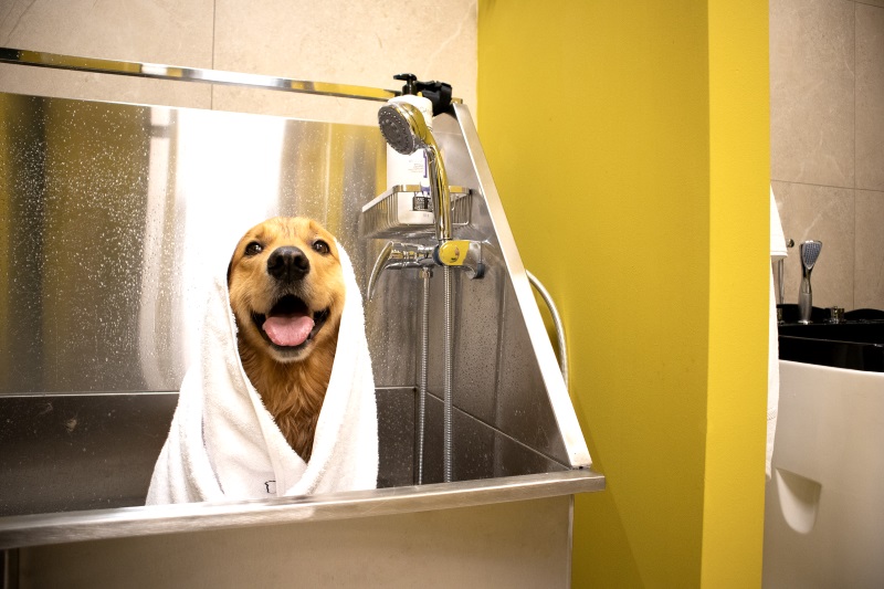 ZVĚROKRUH Salón pro domácí mazlíčky