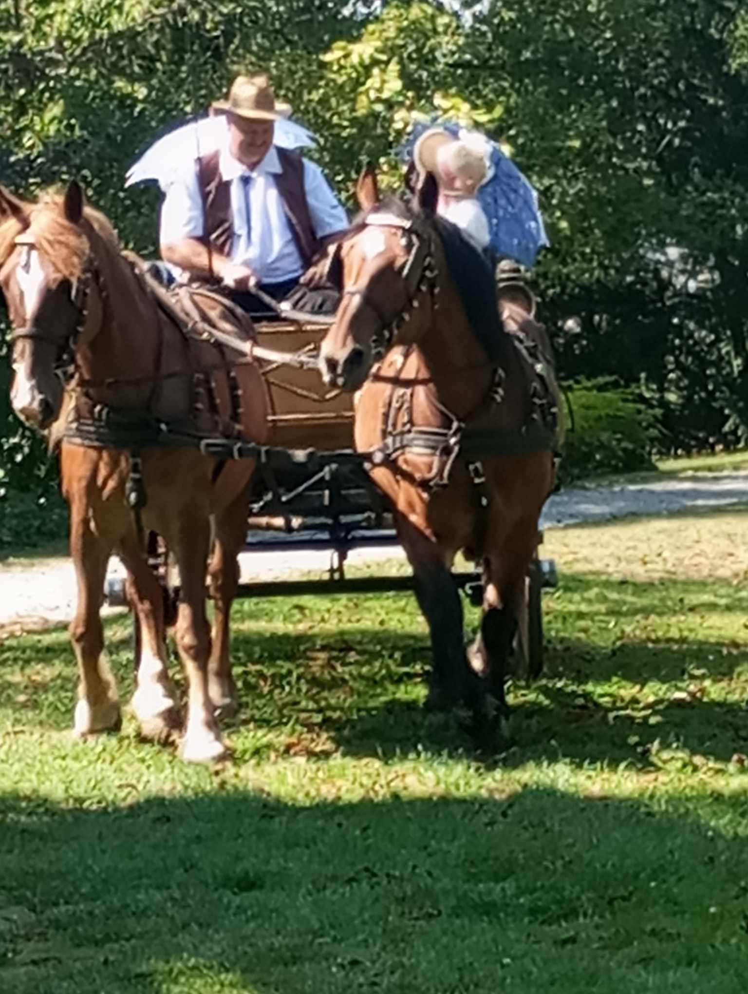 Povoznictví Jan Nyvlt foto 6