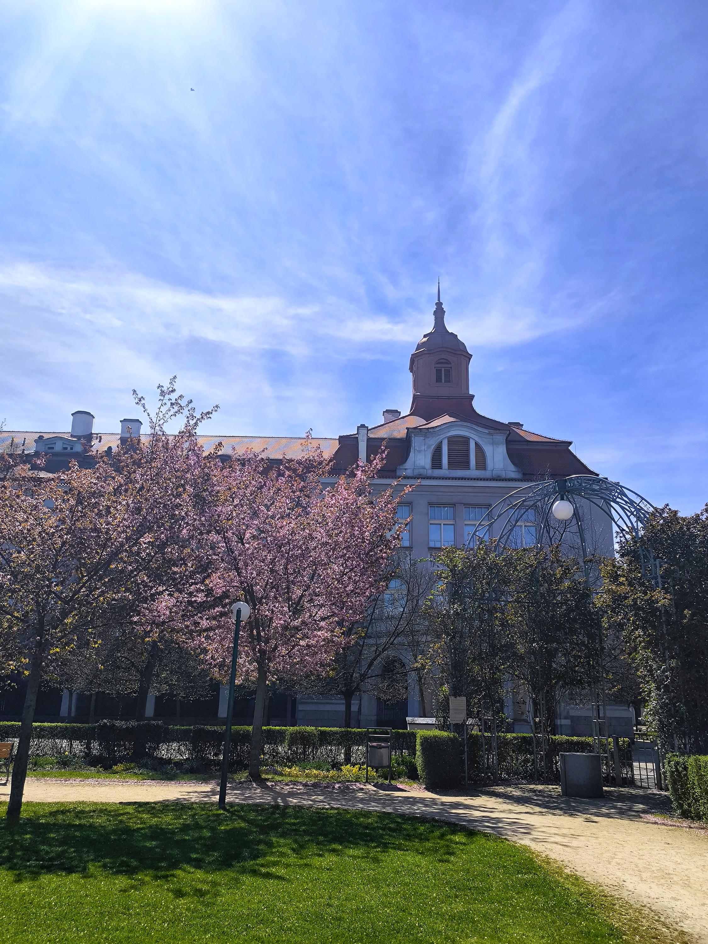 Gymnázium Plzeň, Mikulášské náměstí foto 3