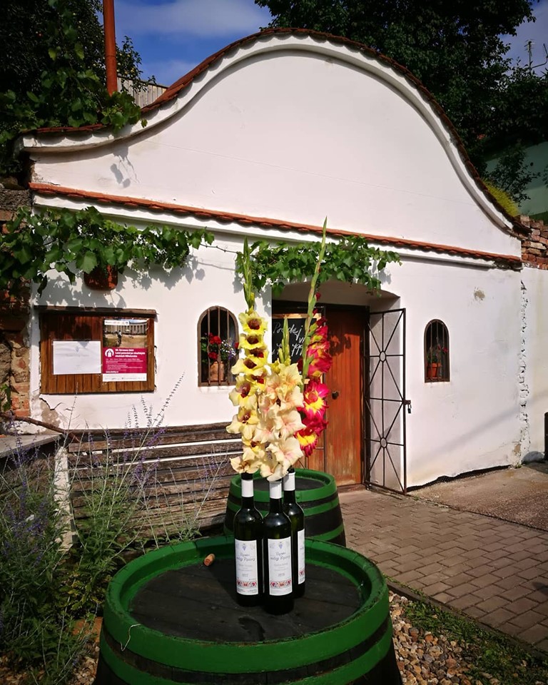 Vinařství rodiny Pipalovy foto 2