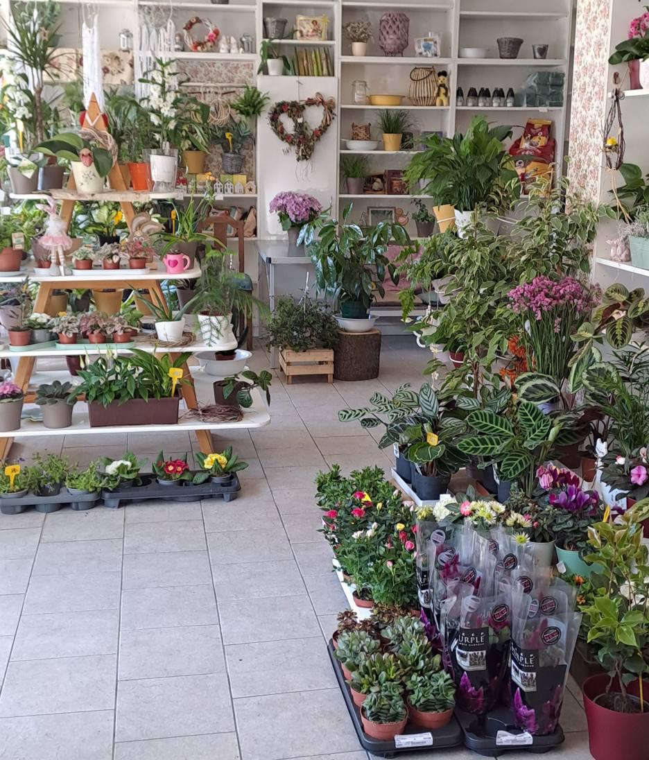 Květinářství Rozmarýna foto 2