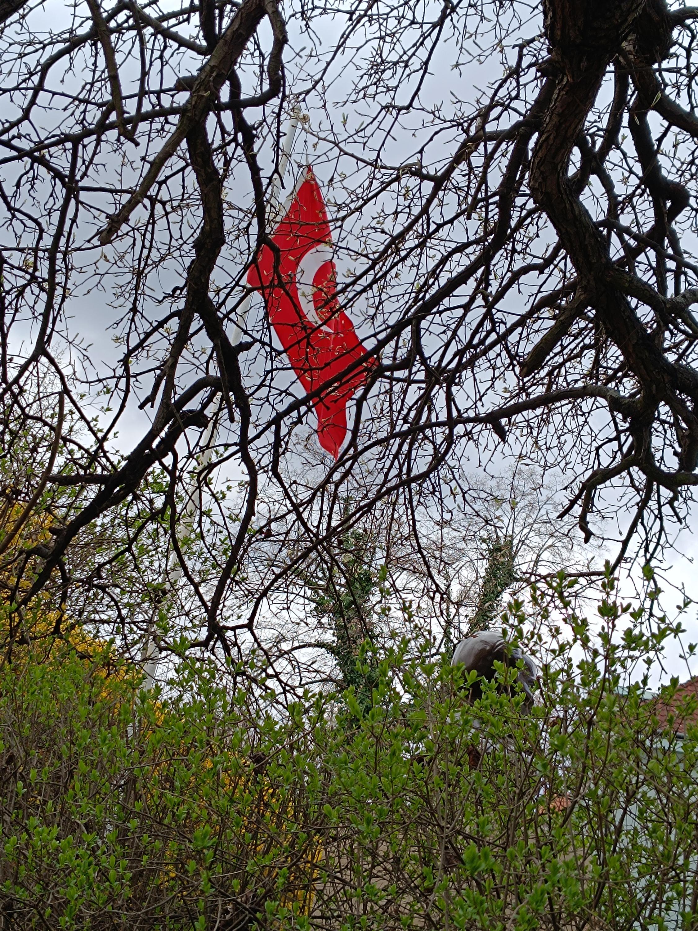 Turecko - Velvyslanectví Turecké republiky foto 3