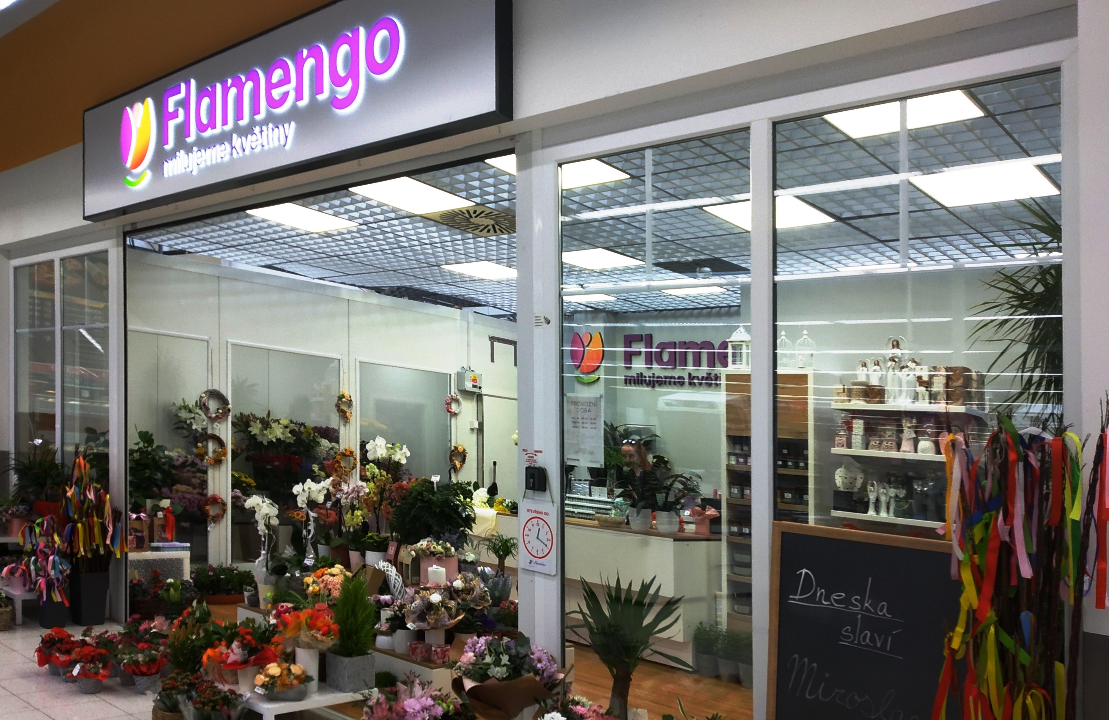 Flamengo květiny foto 1