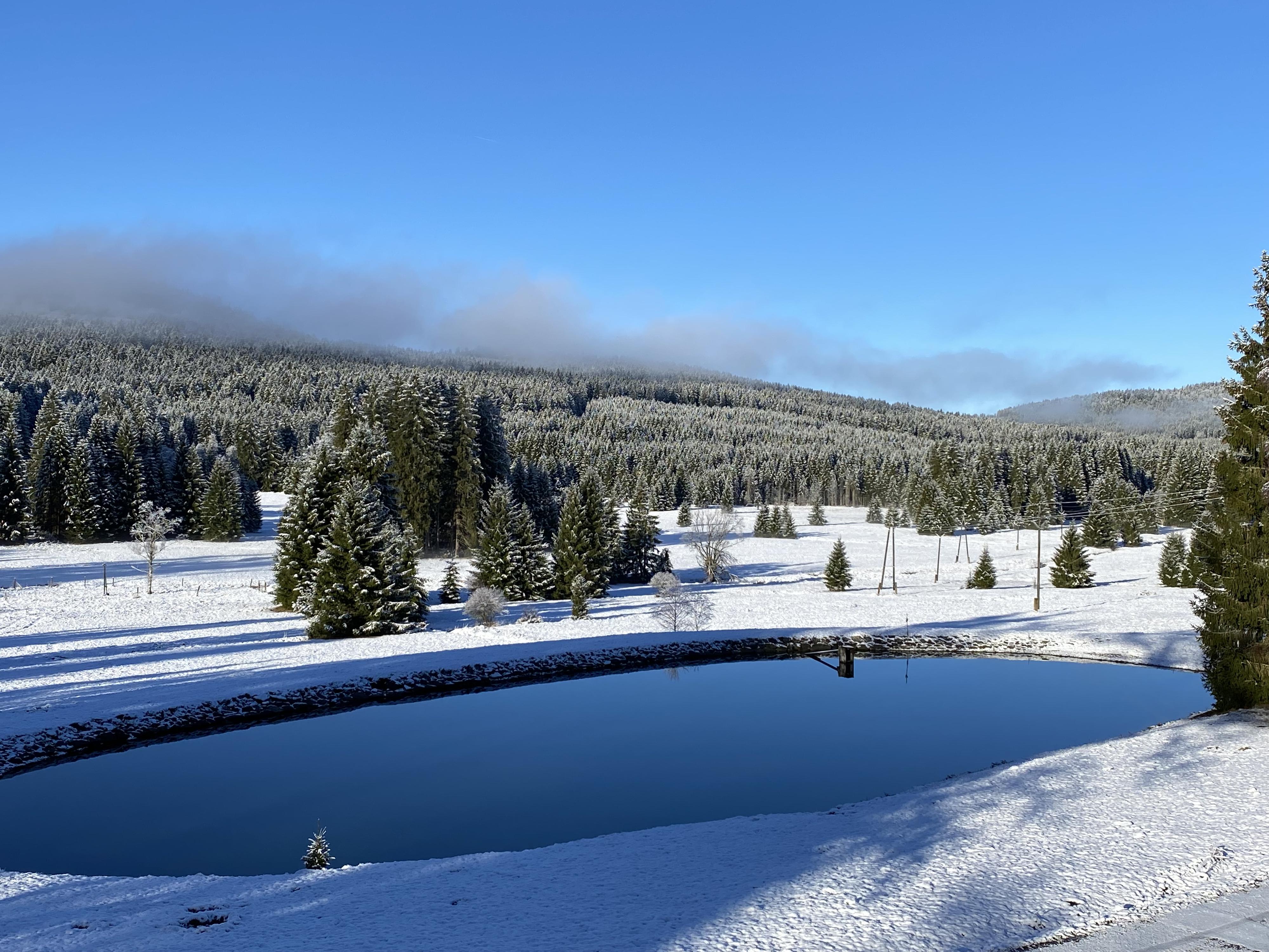 Penzion Lesovna Žofín foto 2