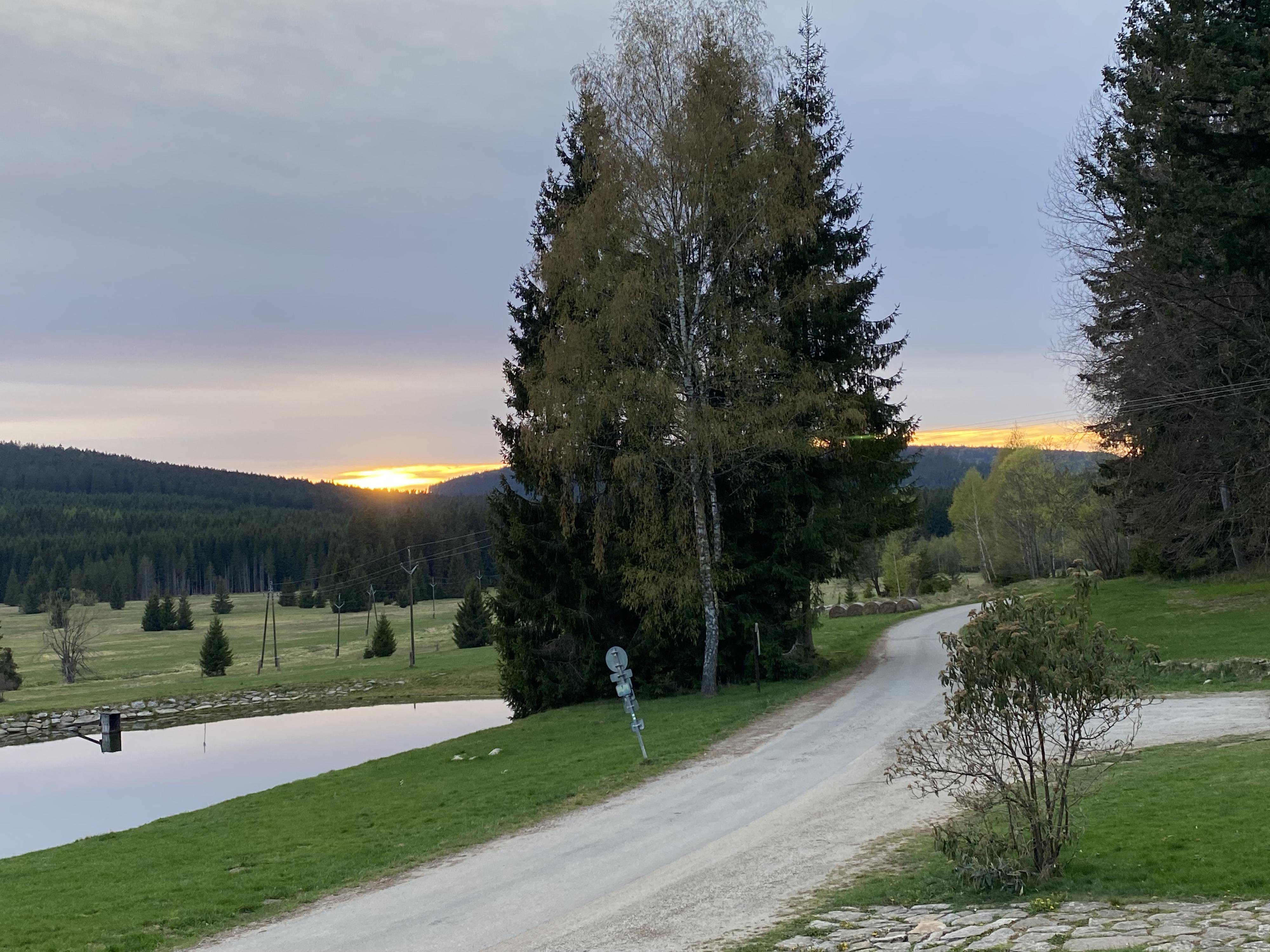 Restaurace Lesovna Žofín foto 3