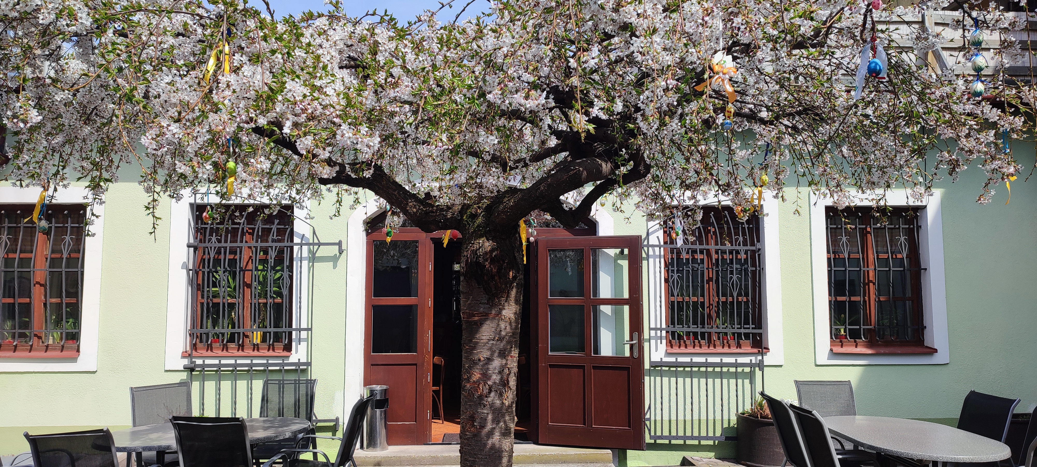 Pivní bar u Truta foto 2