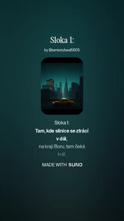 MP Taxi Přimda foto 2 (náhled videa)