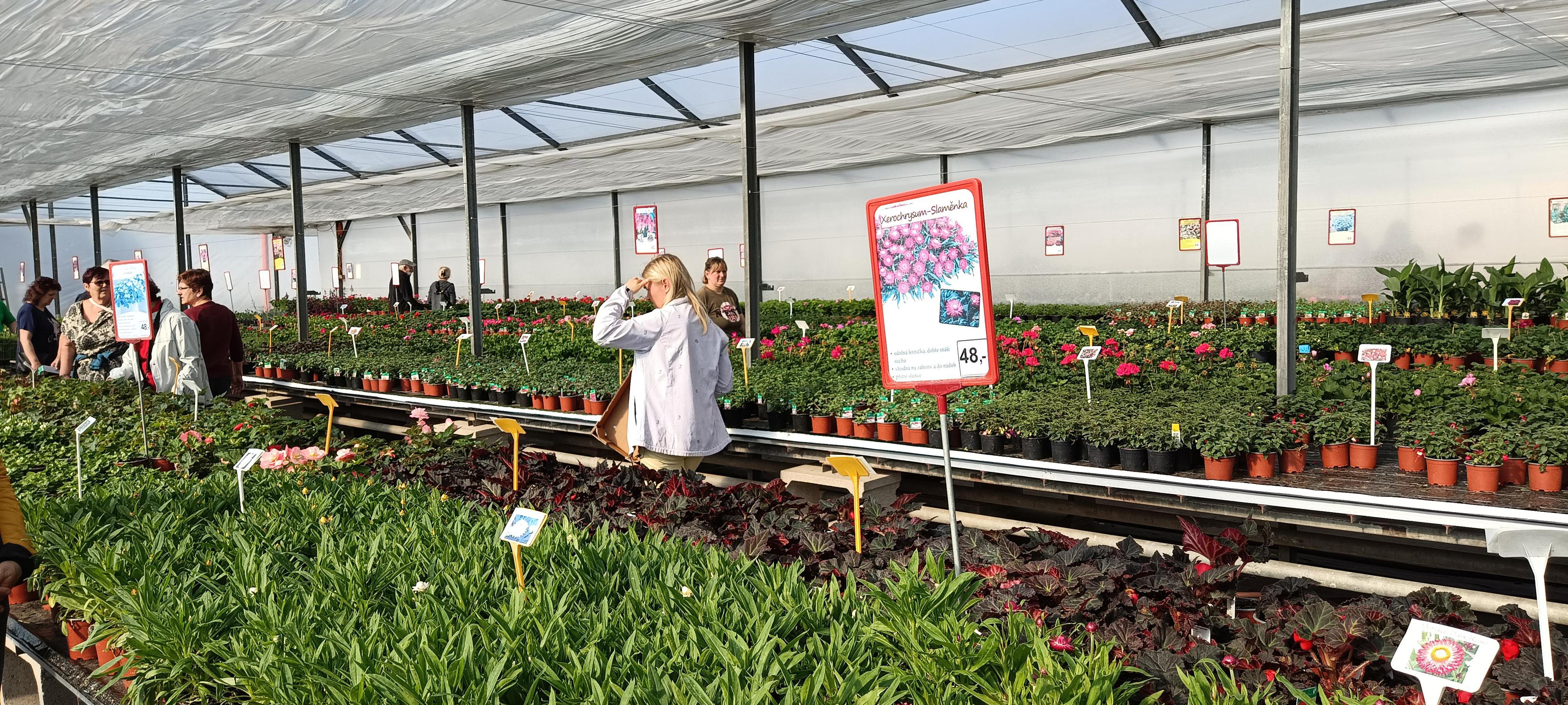 Zahradnictví Světí foto 4