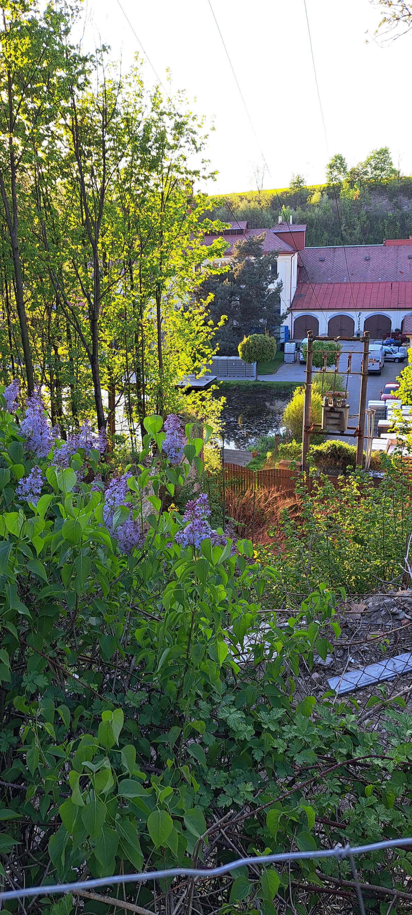 Městský Podorlický pivovar, s.r.o. foto 4