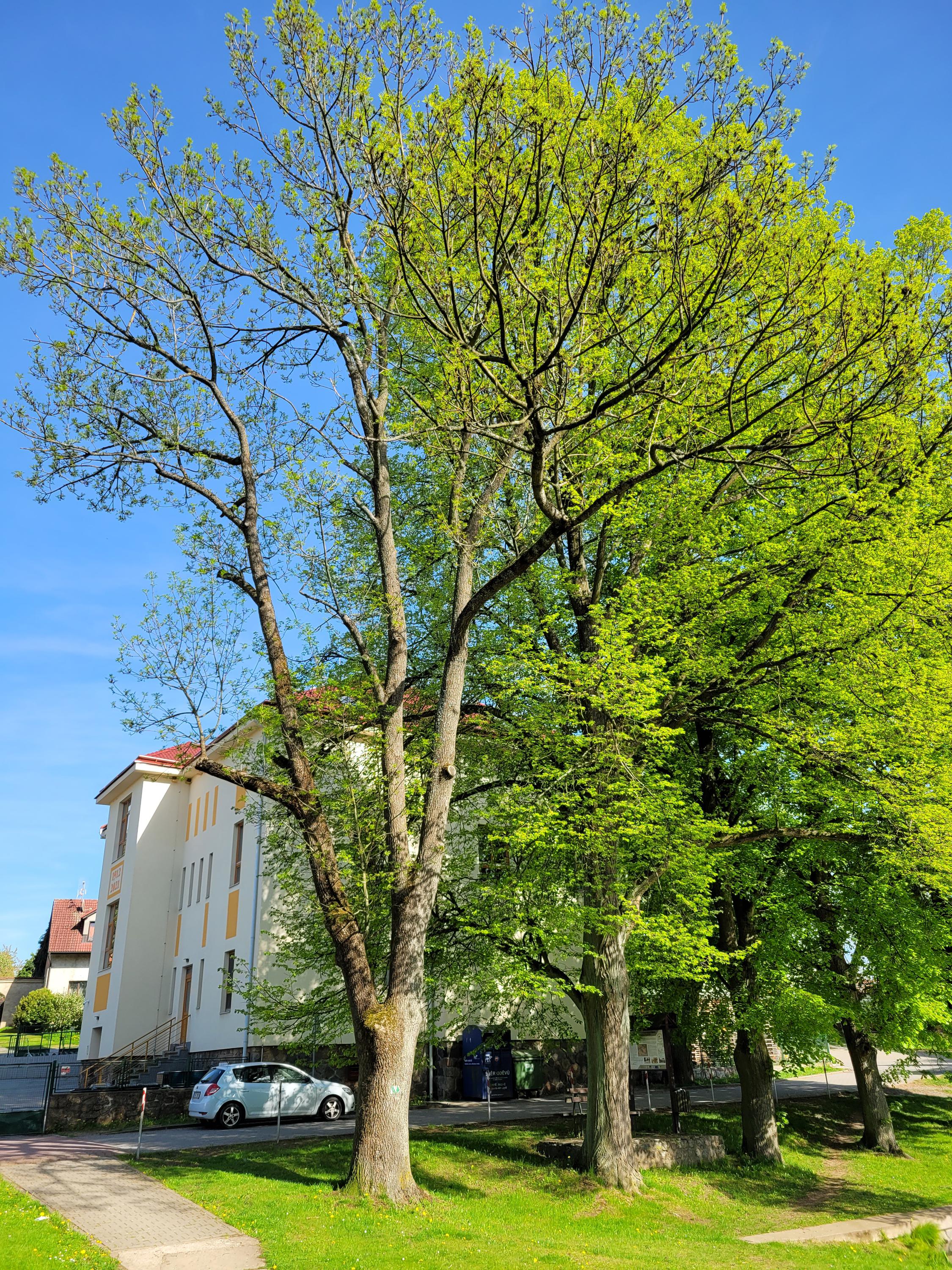 Základní škola Struhařov foto 4