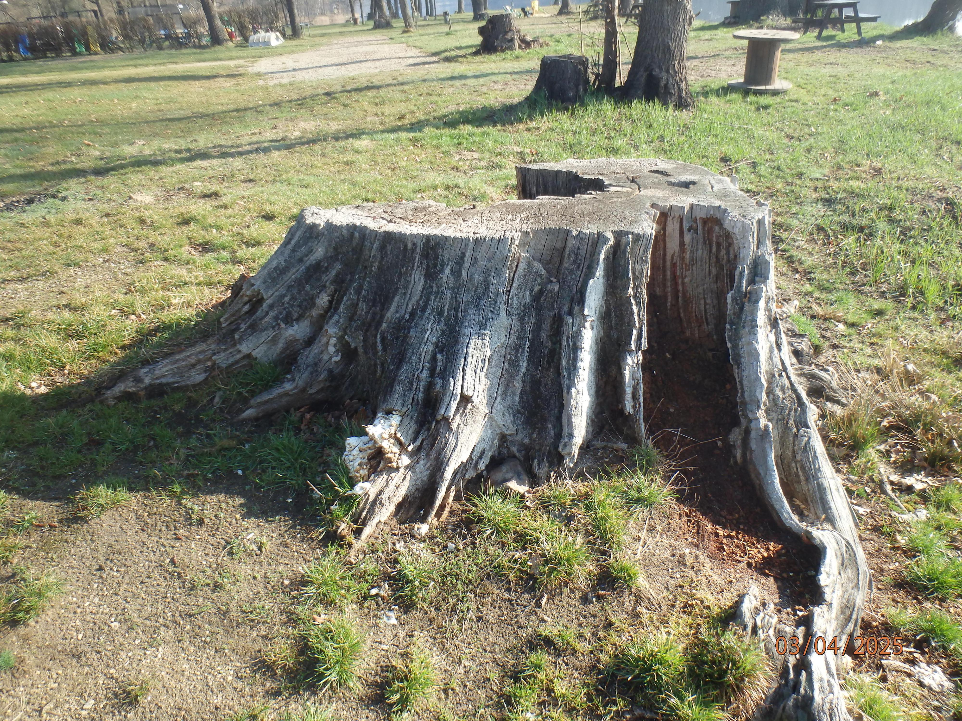 Camping Sever foto 5