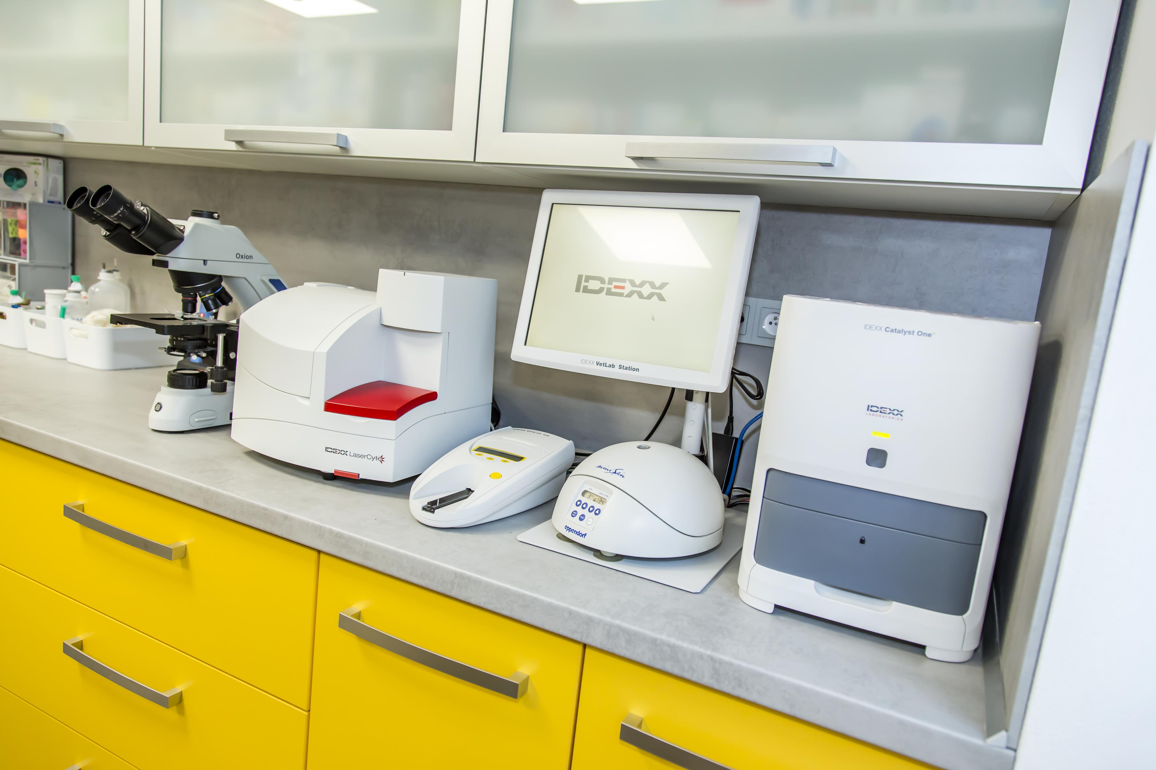 Veterinární klinika Vladislav, s.r.o. foto 4