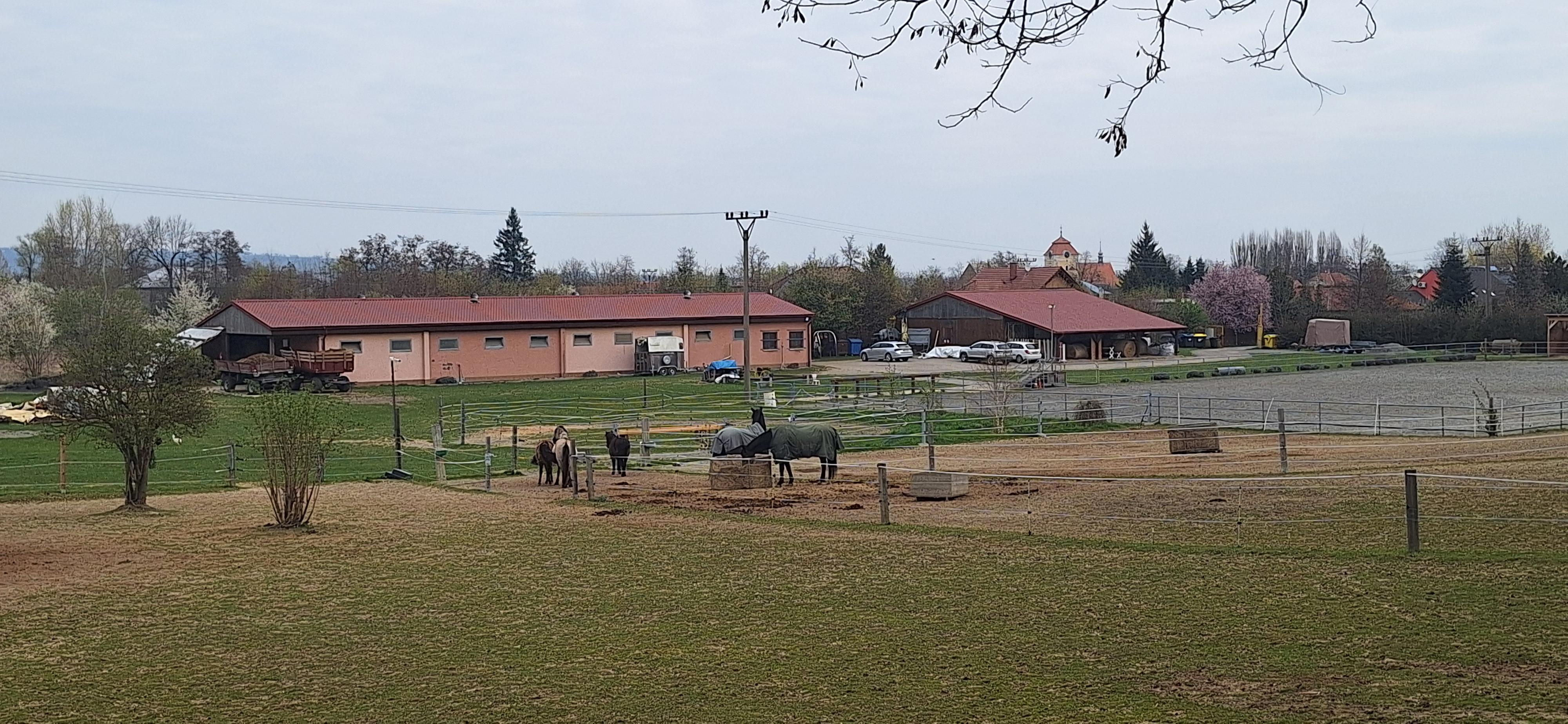 Jezdecký oddíl Helios Mostkovice foto 4
