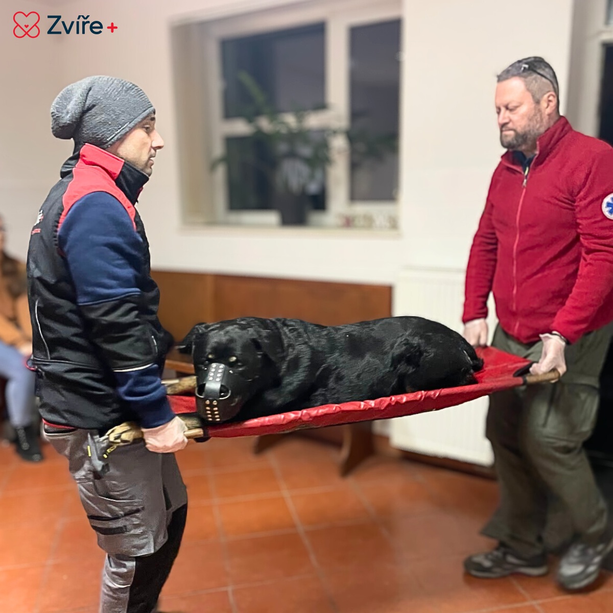 Veterinární klinika Zvíře+ foto 5