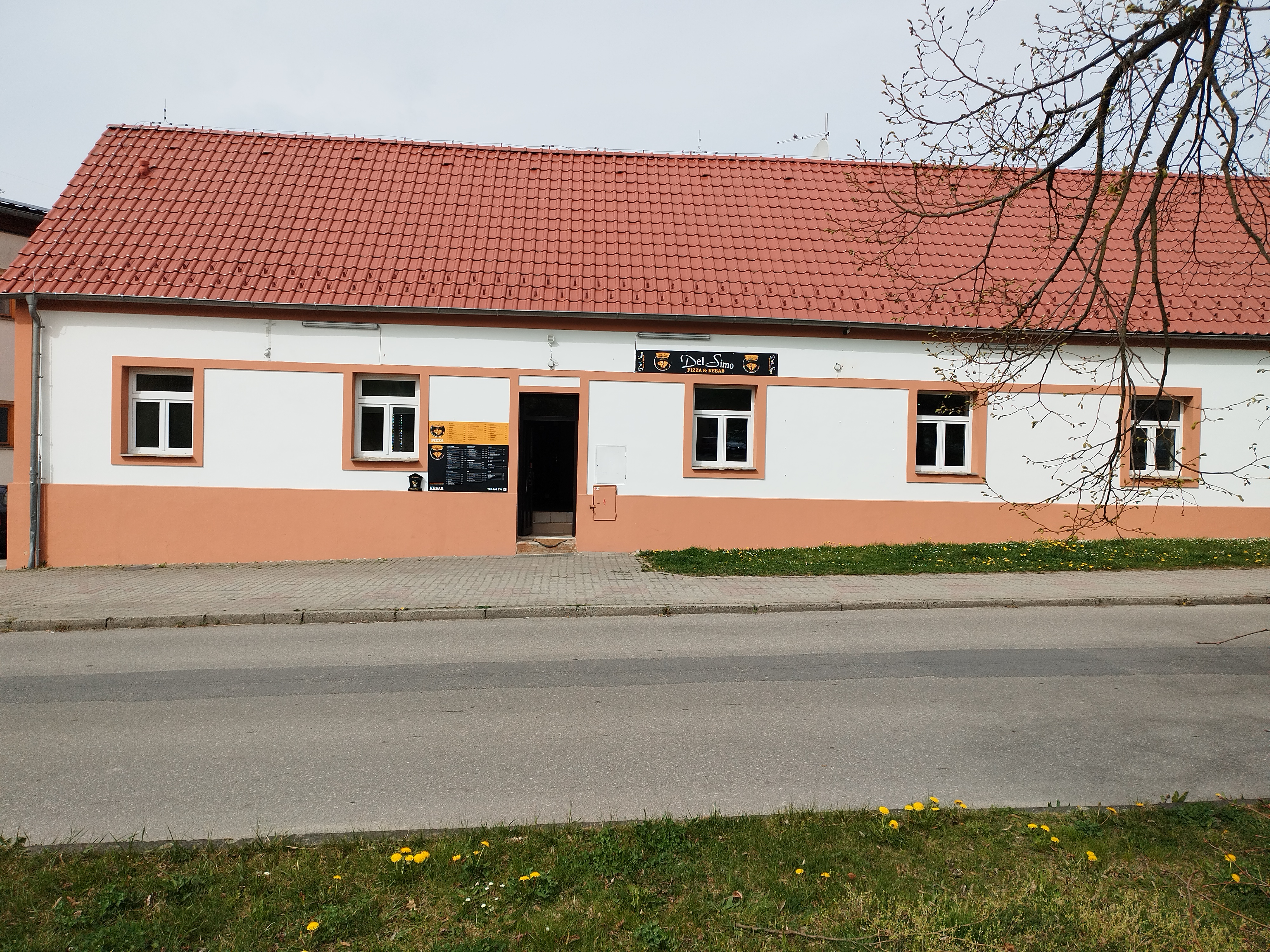 Pizza Kebab DelSimo Zliv