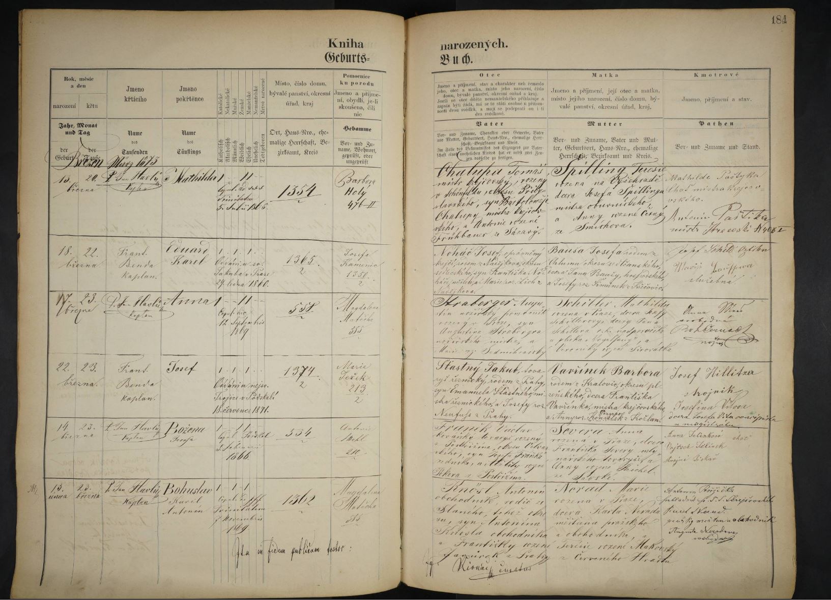 Rodokmeny Levně foto 4