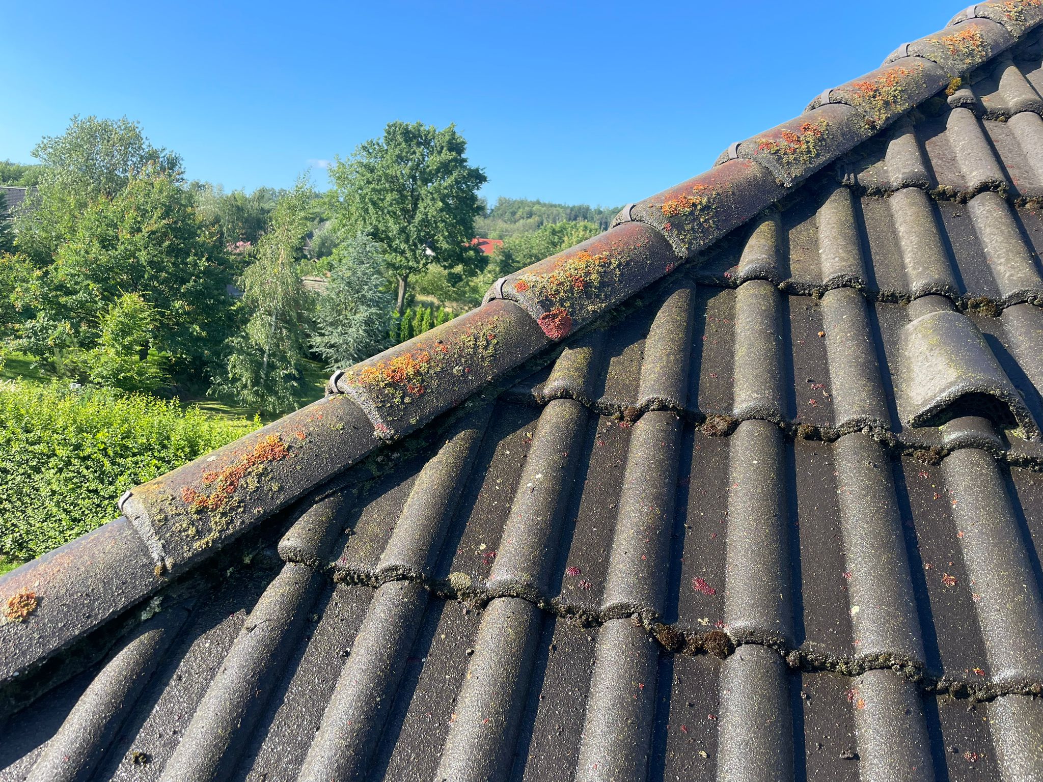 cistenistrech.eu - čištění střech, fasád a dlažeb foto 6