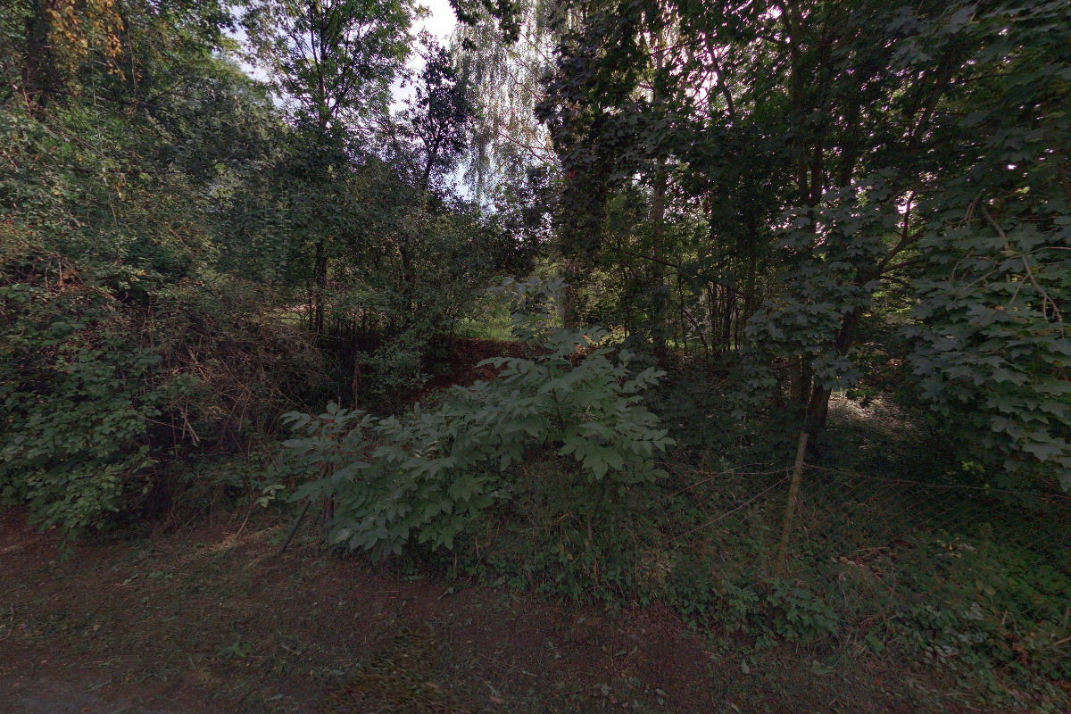 Divočina komunitní zahrada a ekocentrum