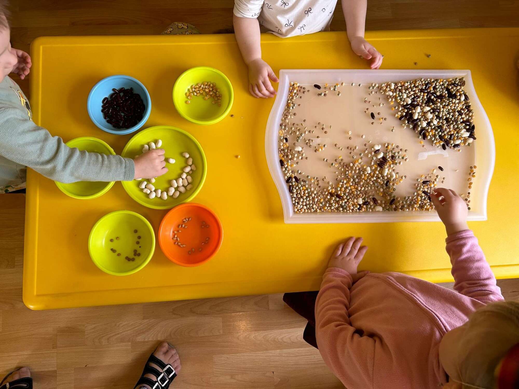 Jesle a školka DC Mláďátka foto 4